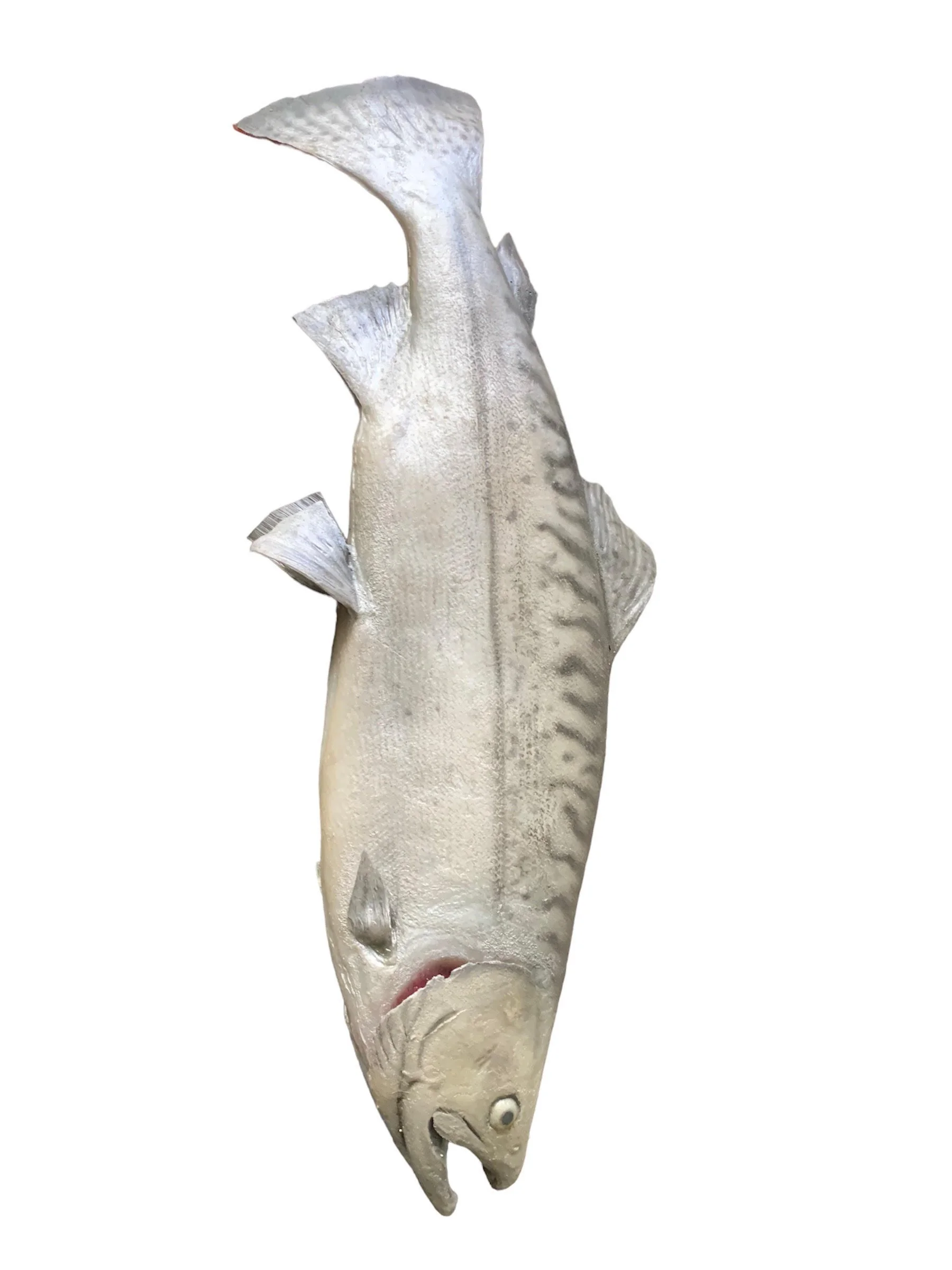White Salmon