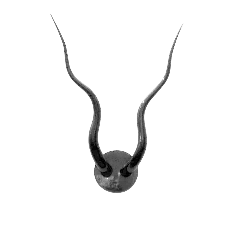 Black Ibex Horns (Mounted)