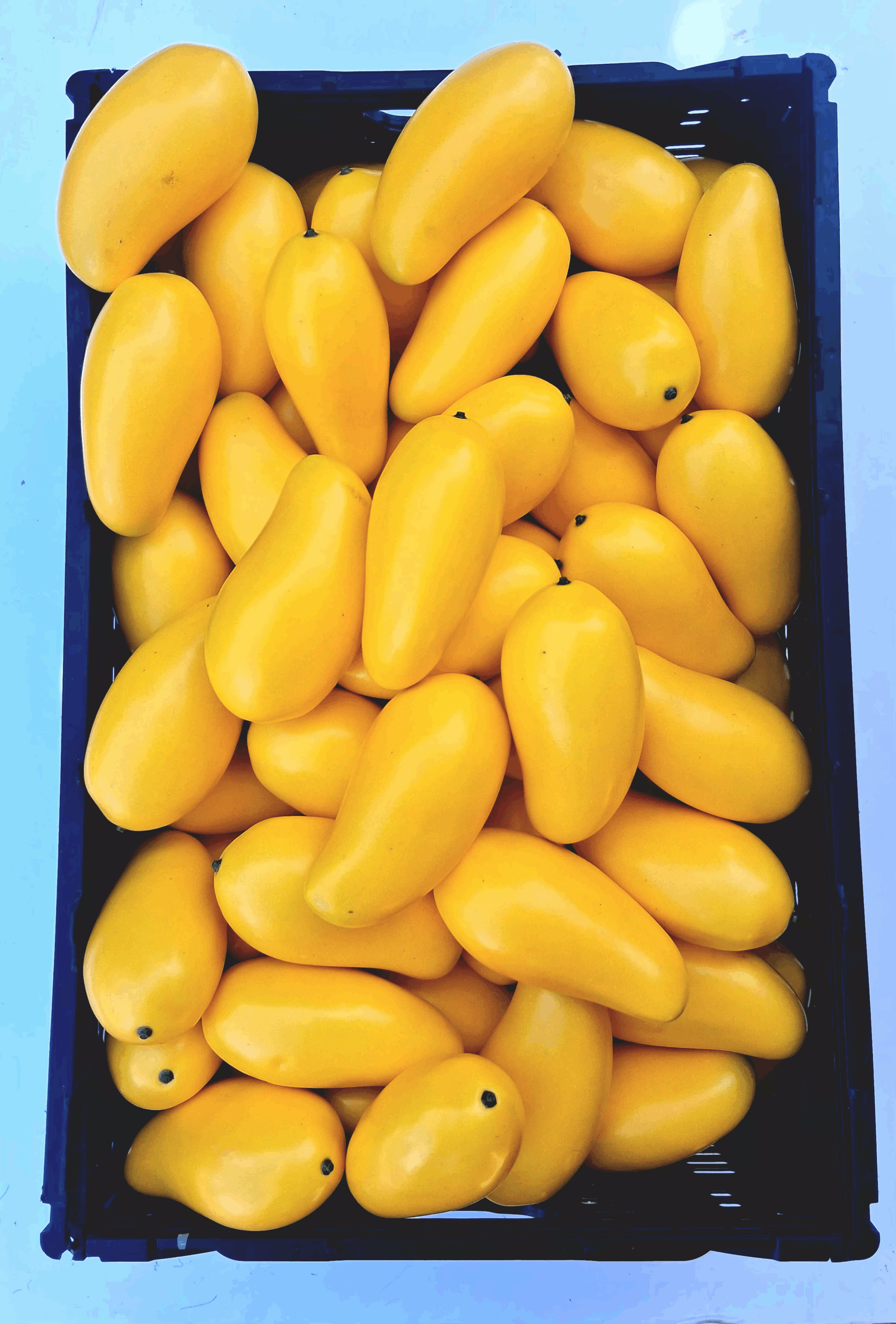 Mangos
