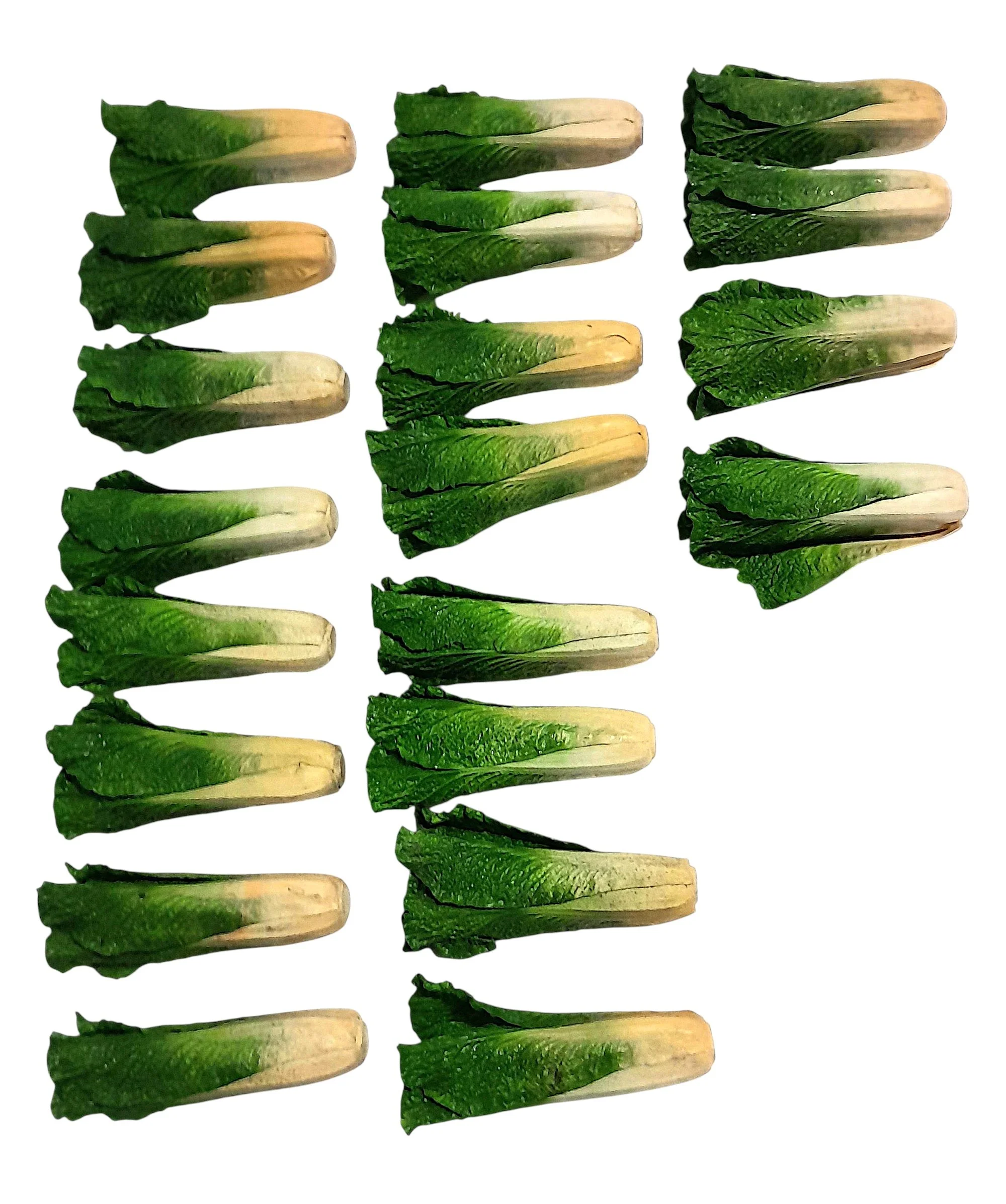 Lettuce Romaine