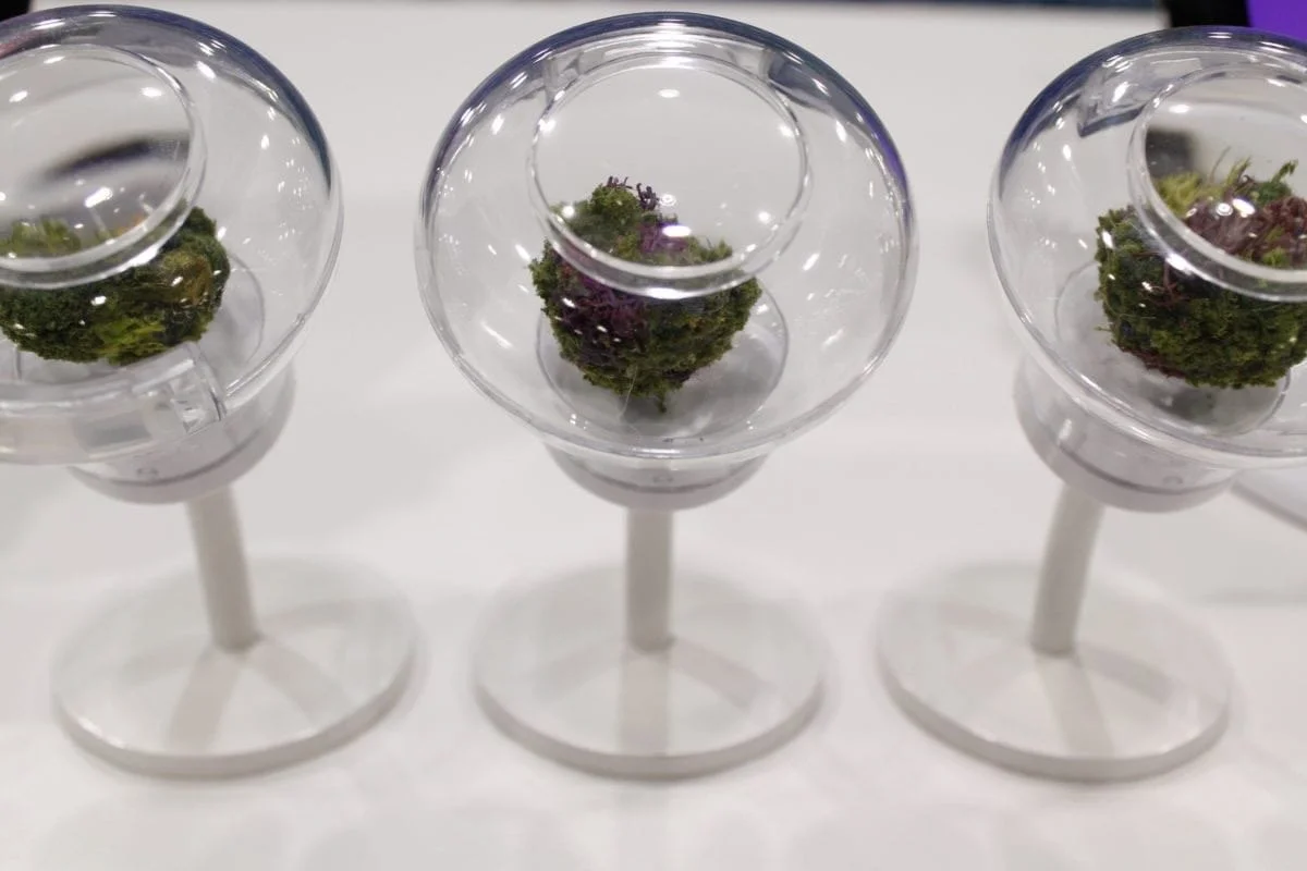 Jarred Display Pieces