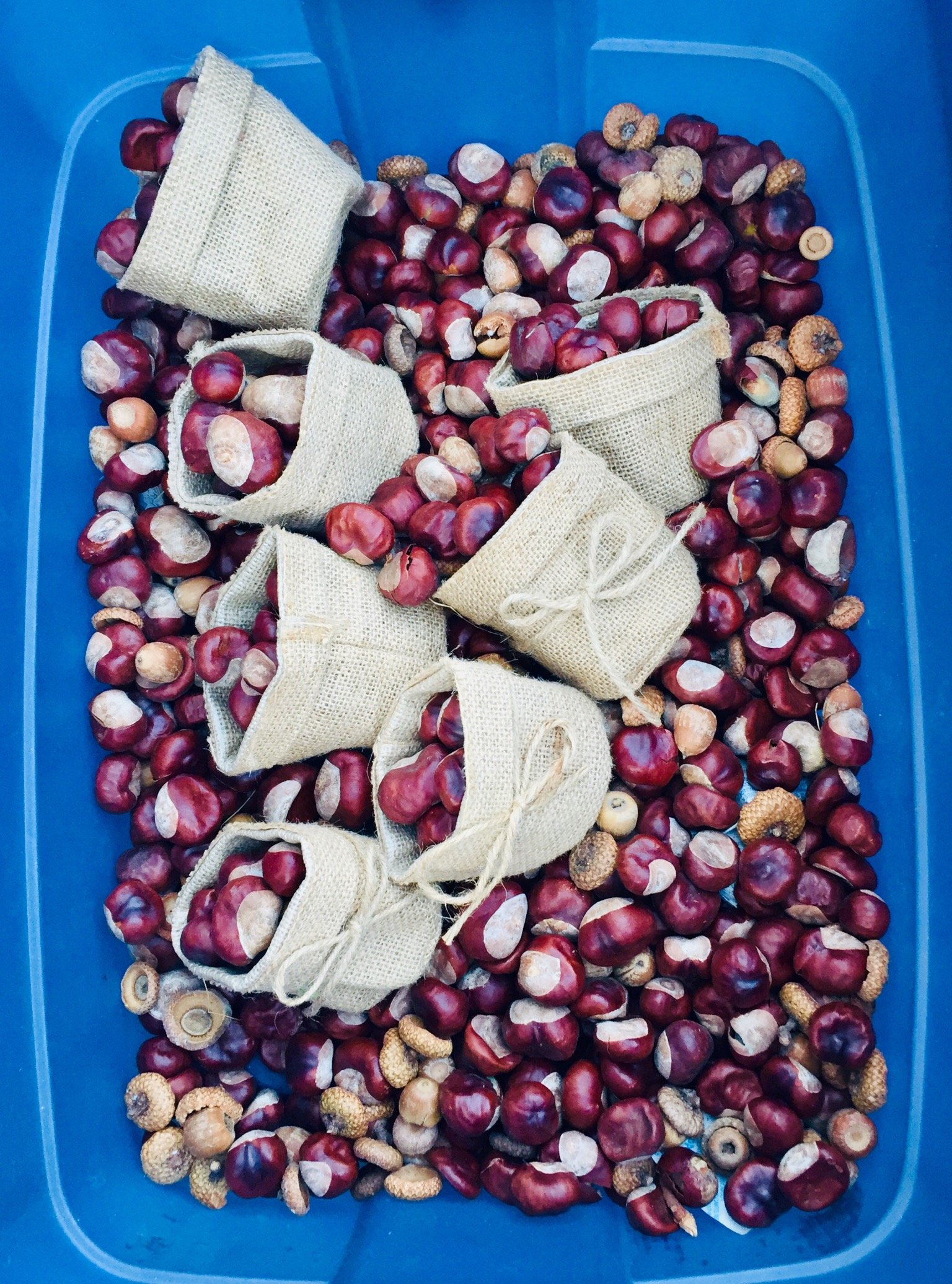 Chestnuts