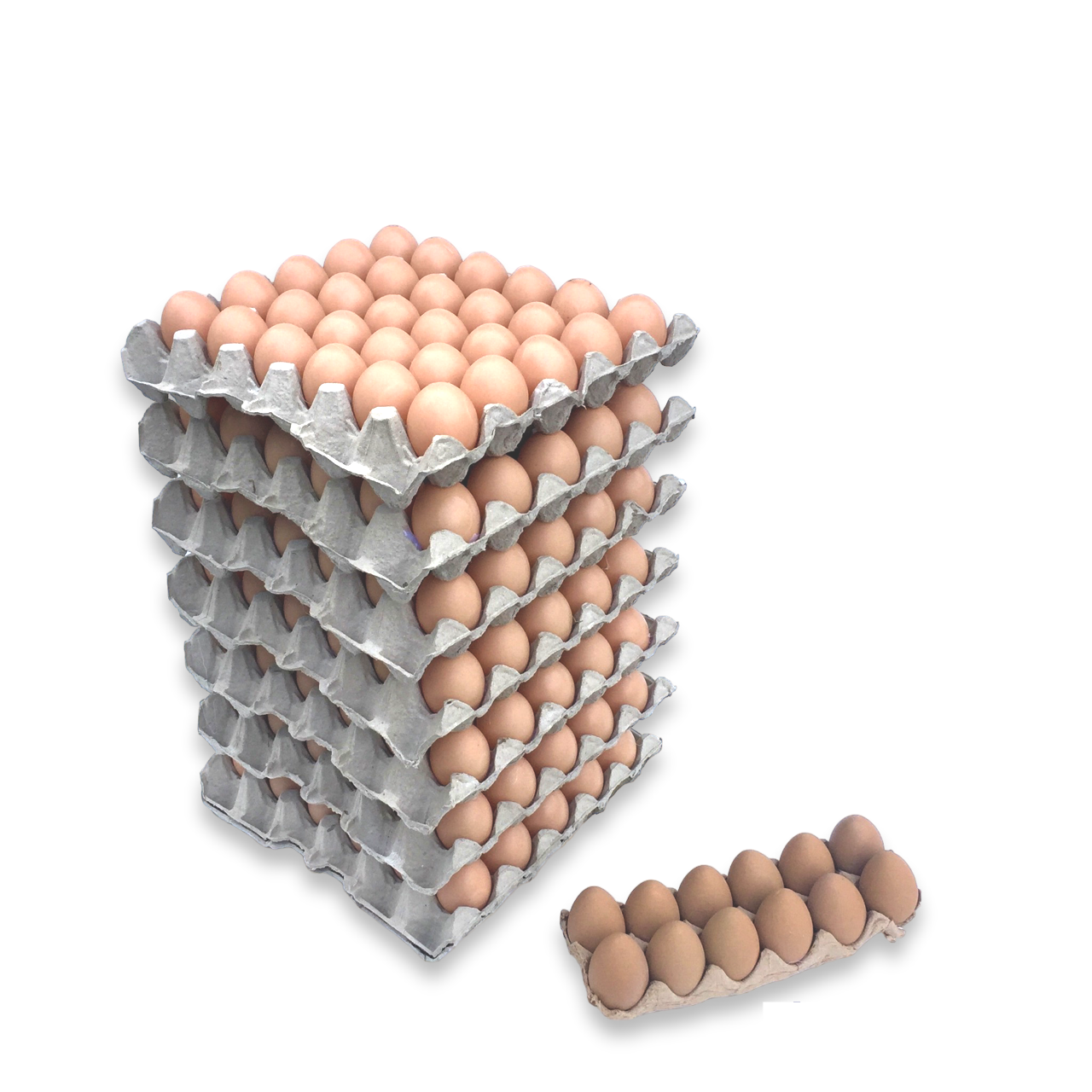 Eggs White Carton Stacks