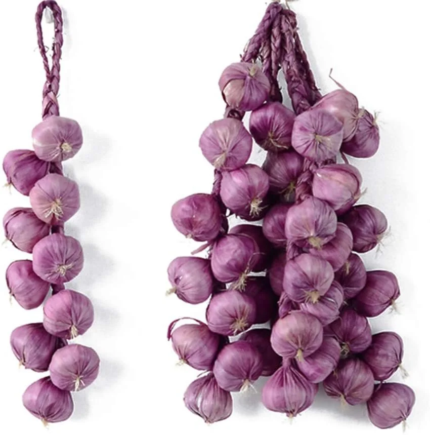 Garlic String Purple