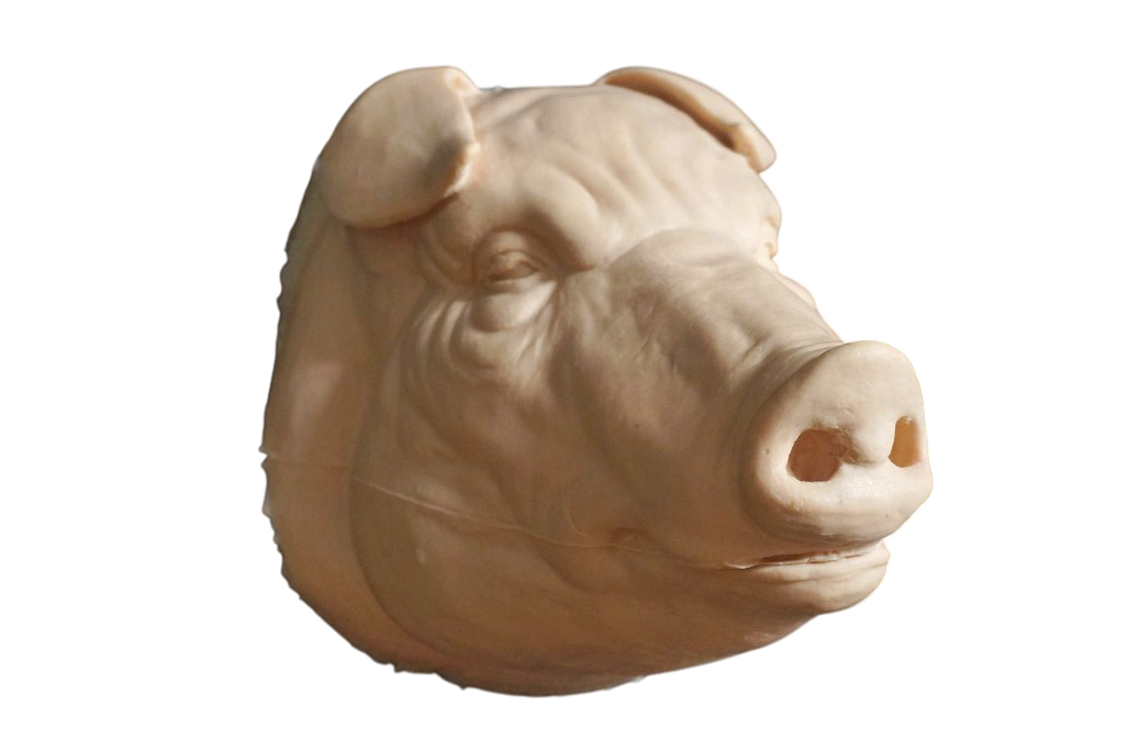 Pig Head Raw