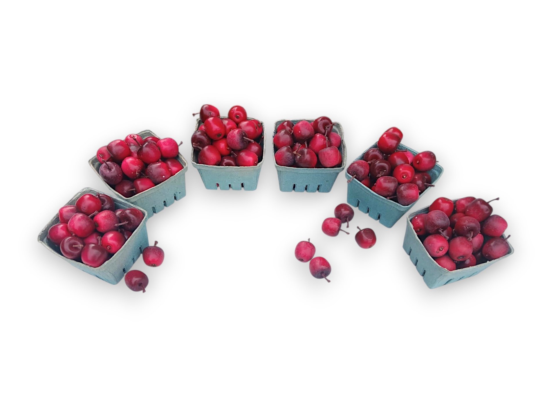 Crab Apples Red