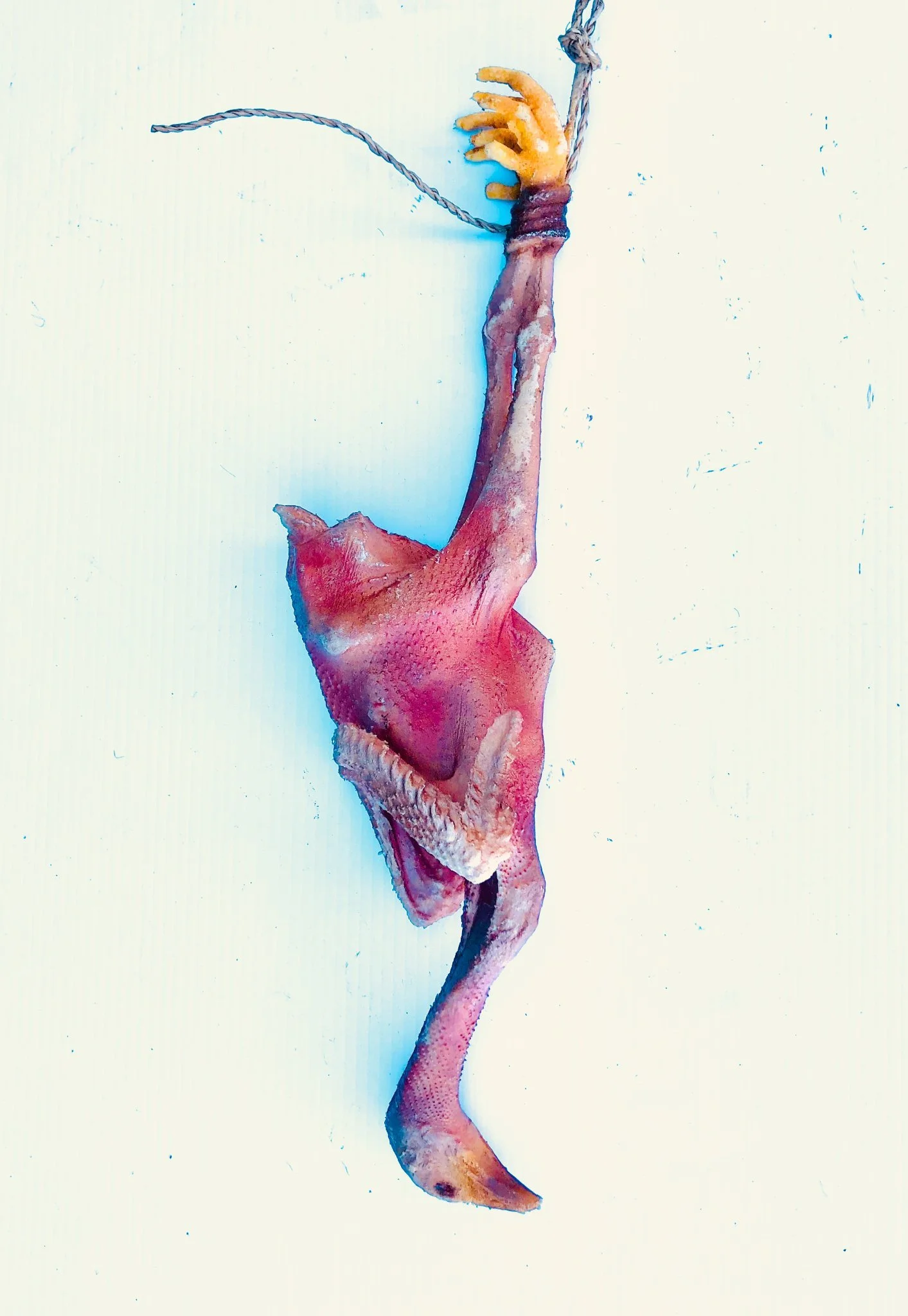 Hung Chicken