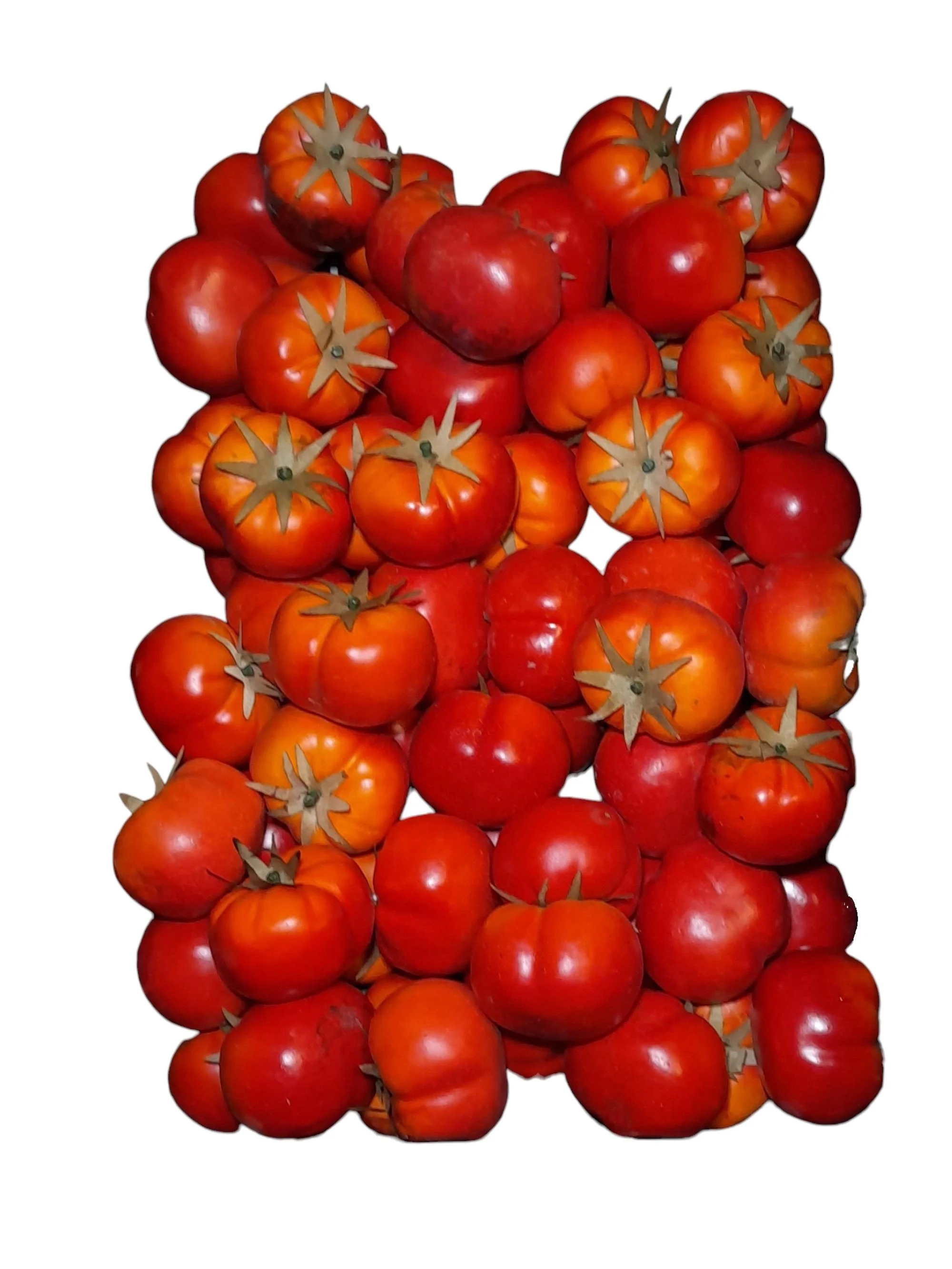 Tomatoes Medium