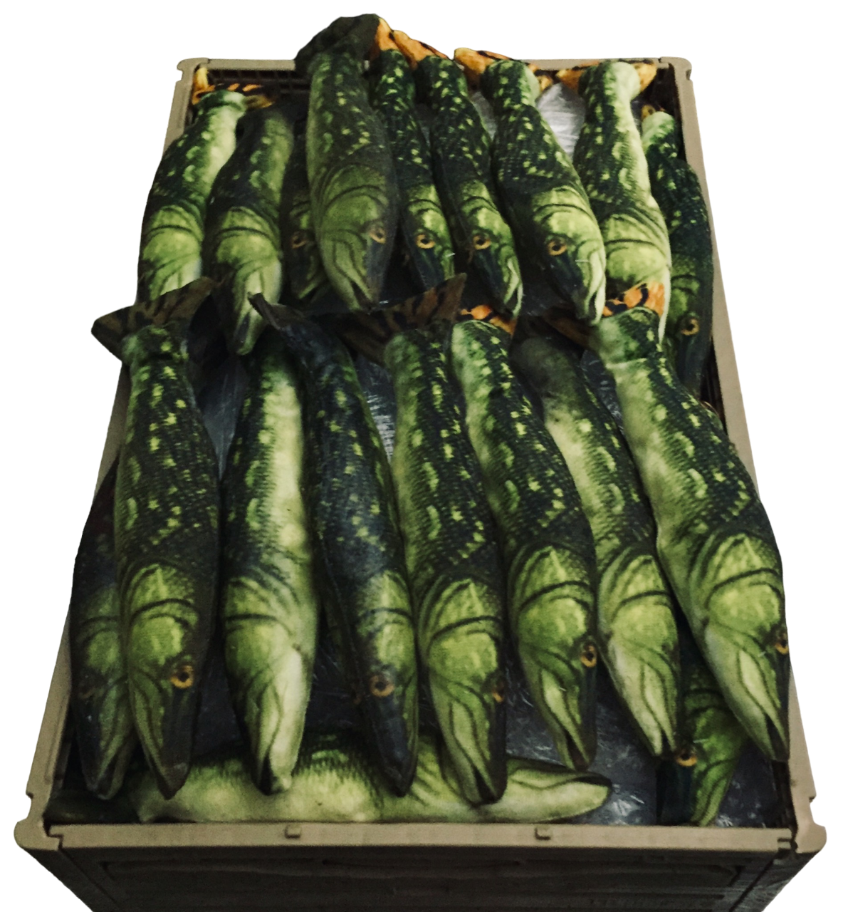 Salmon Fish w/ Crate