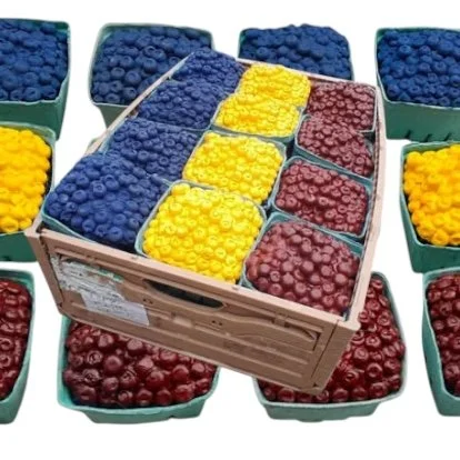 Crate Plastic Wood Assorted Berries