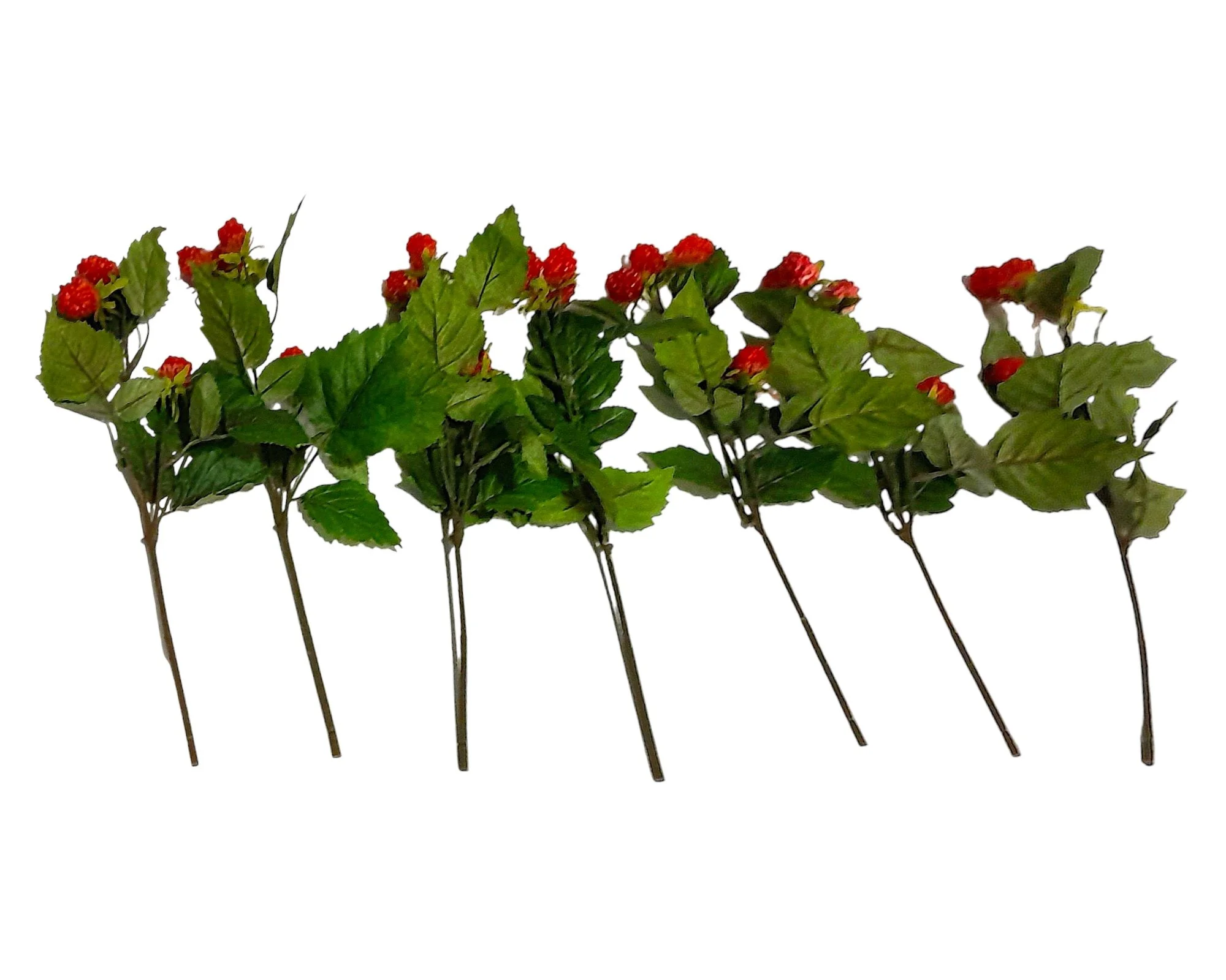Raspberries on Sprig