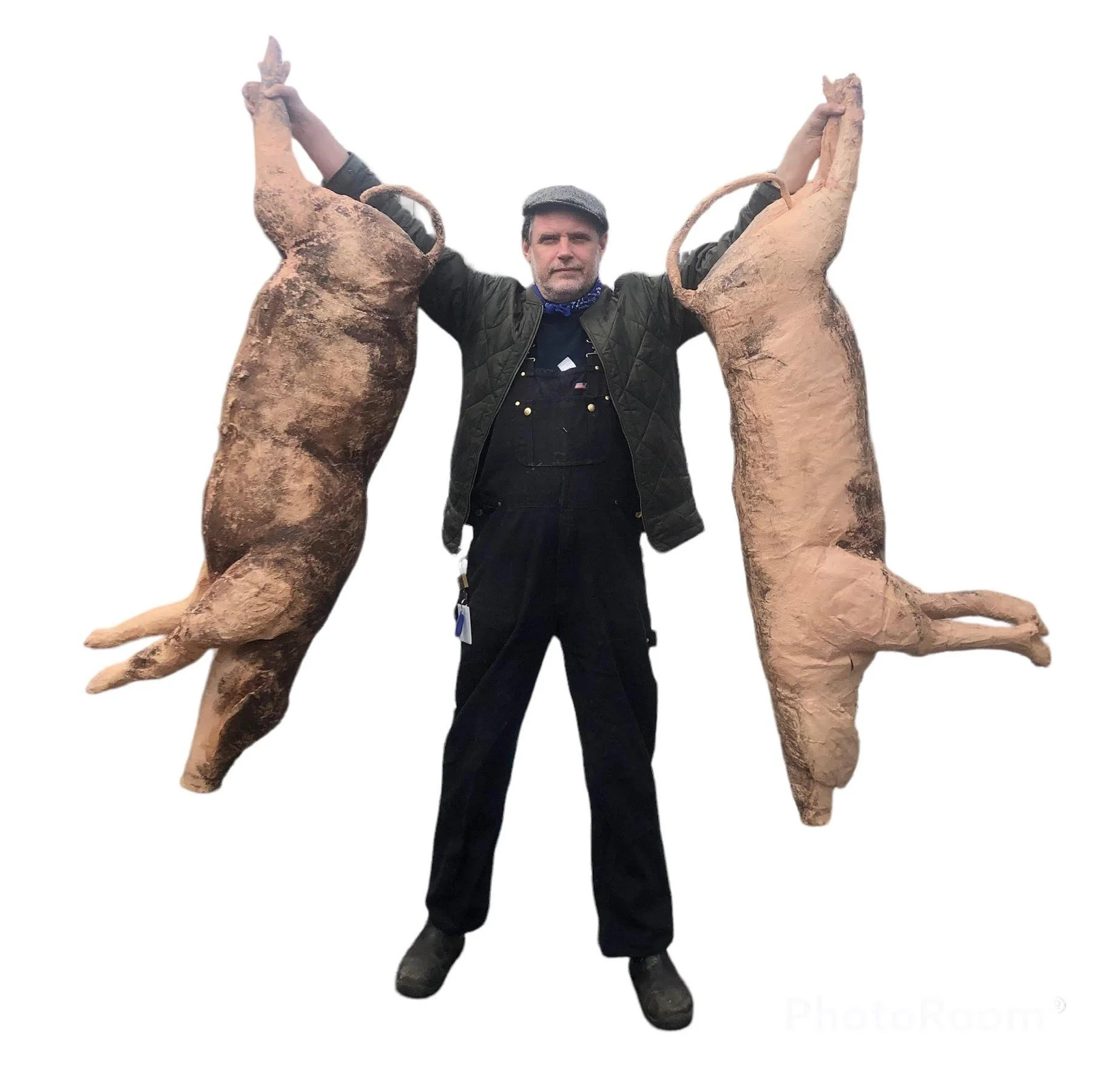 Full Size Large Pigs