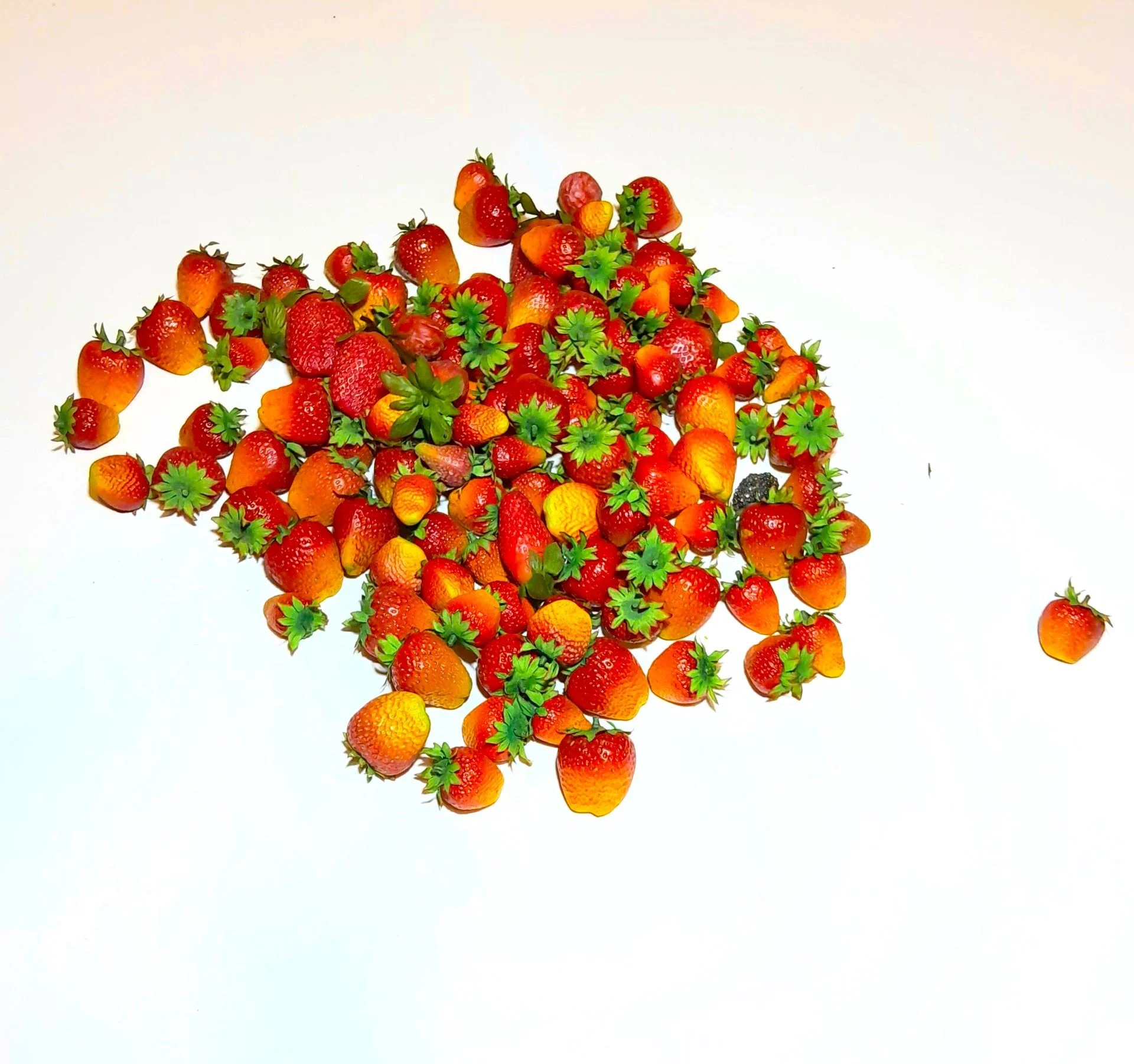 Medium Strawberries