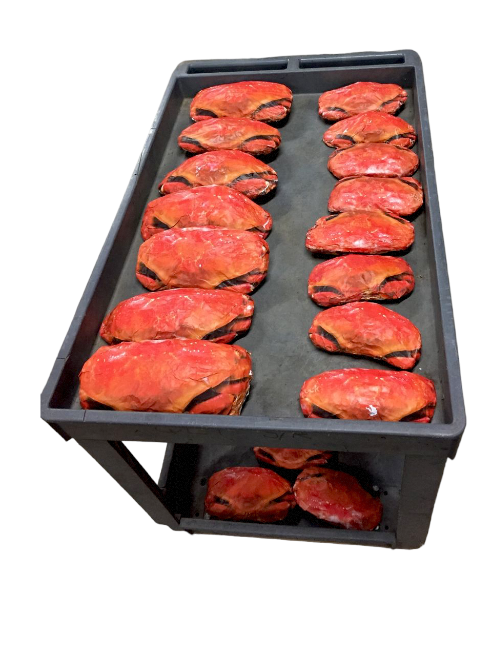 Large Crabs