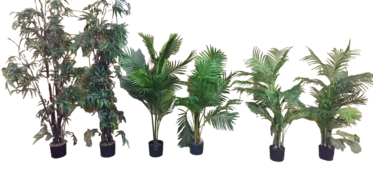 Potted Palms Small