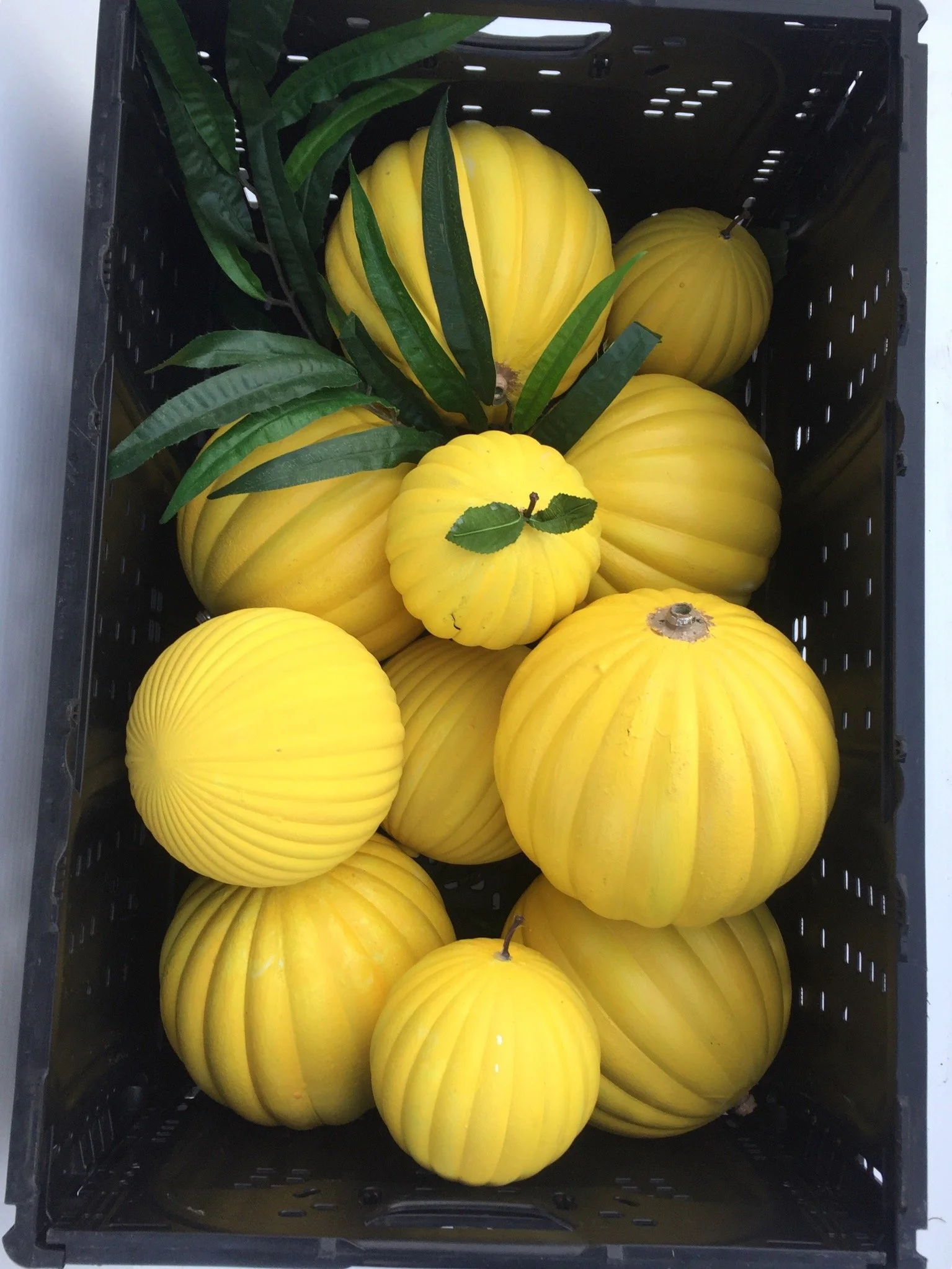Custard Melons