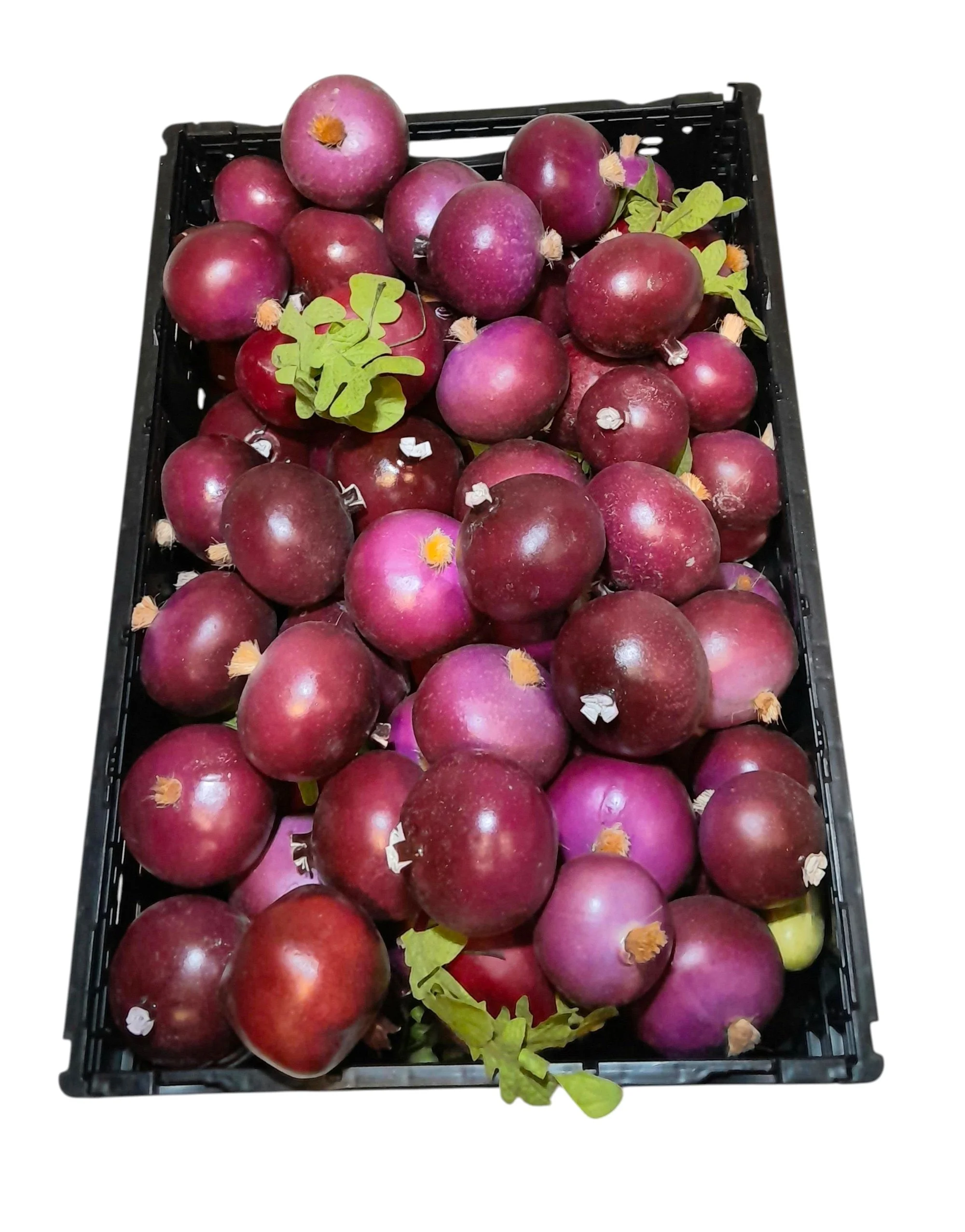 Rutabaga
