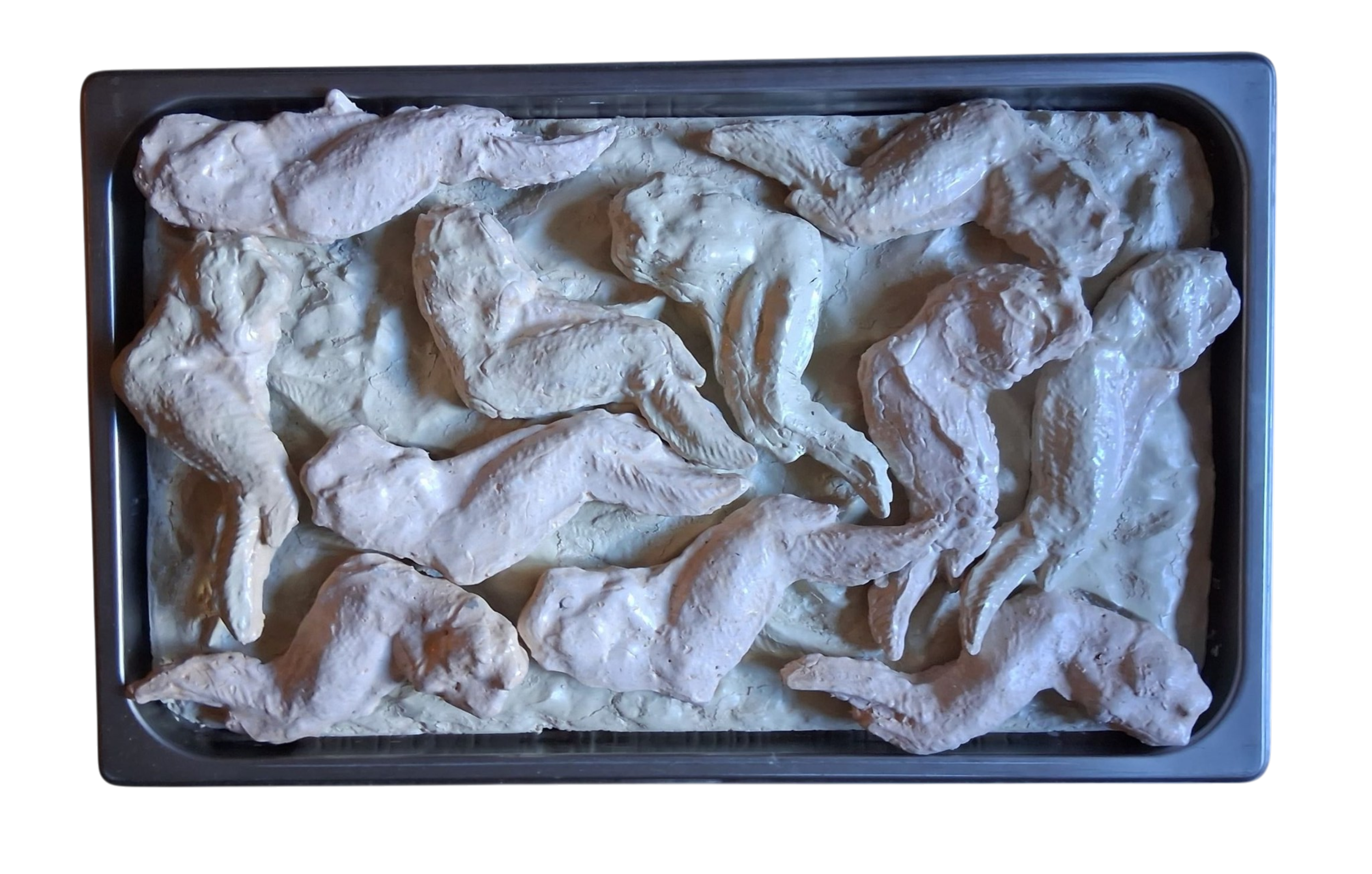 Raw Chicken Legs