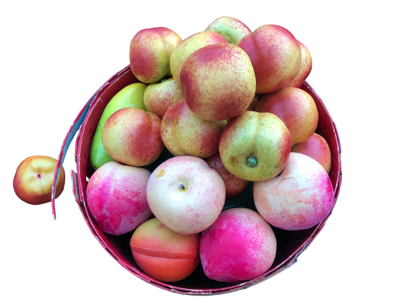 Nectarines
