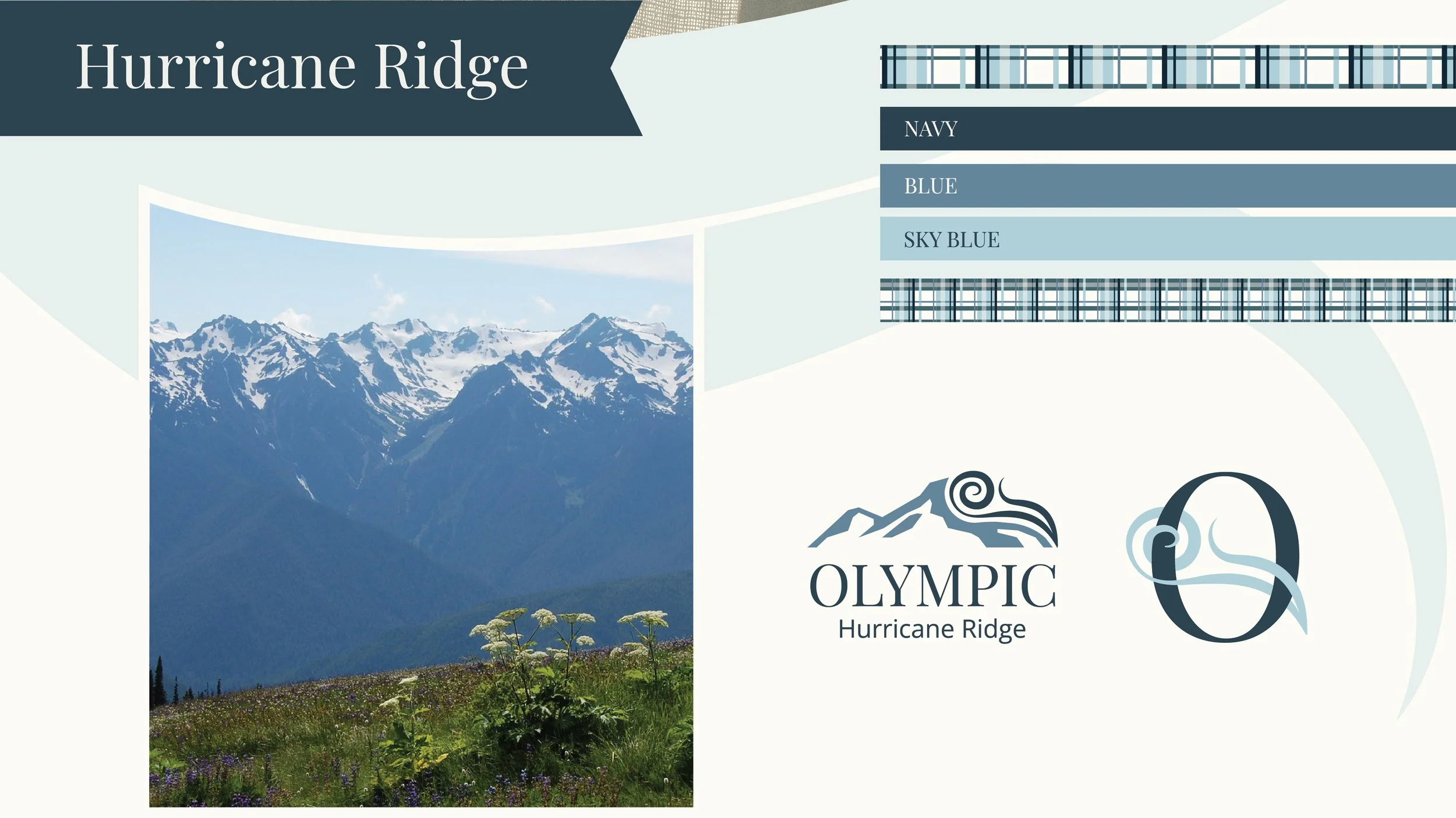 Website Portfolio -06.jpg