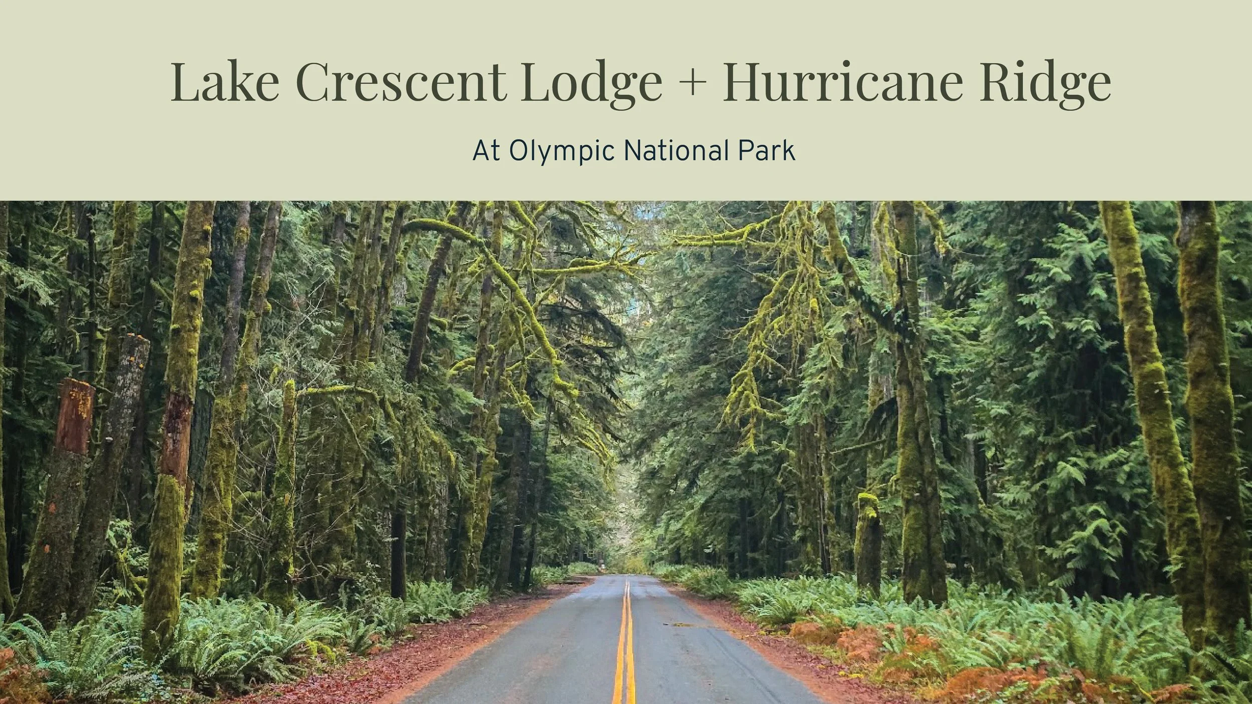 Website Portfolio -01.jpg