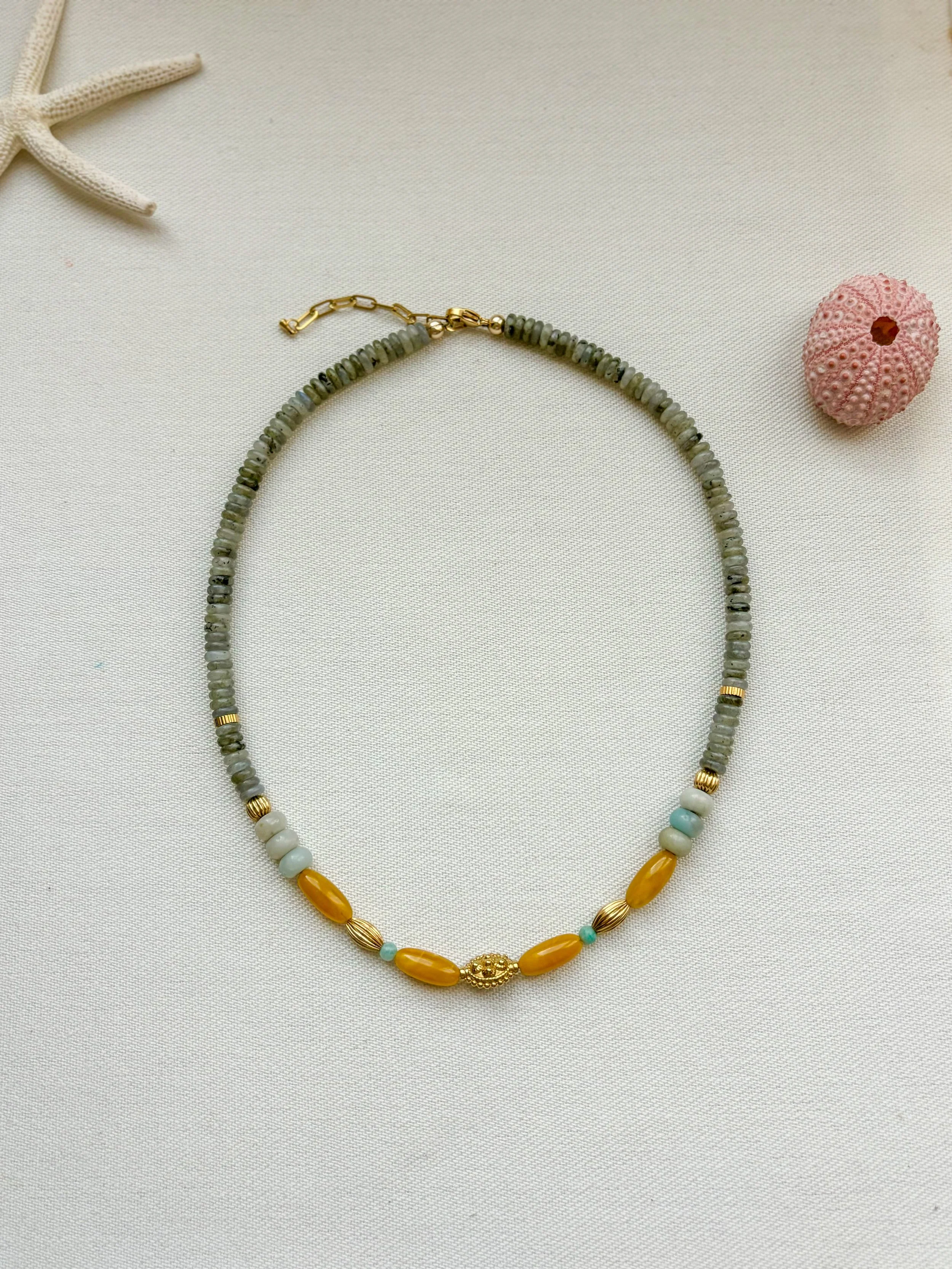 Photo 09-11-2024 15 54 39.jpg