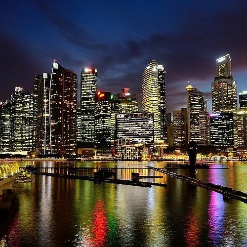 New Roots In The Lion City and Strings Across Borders