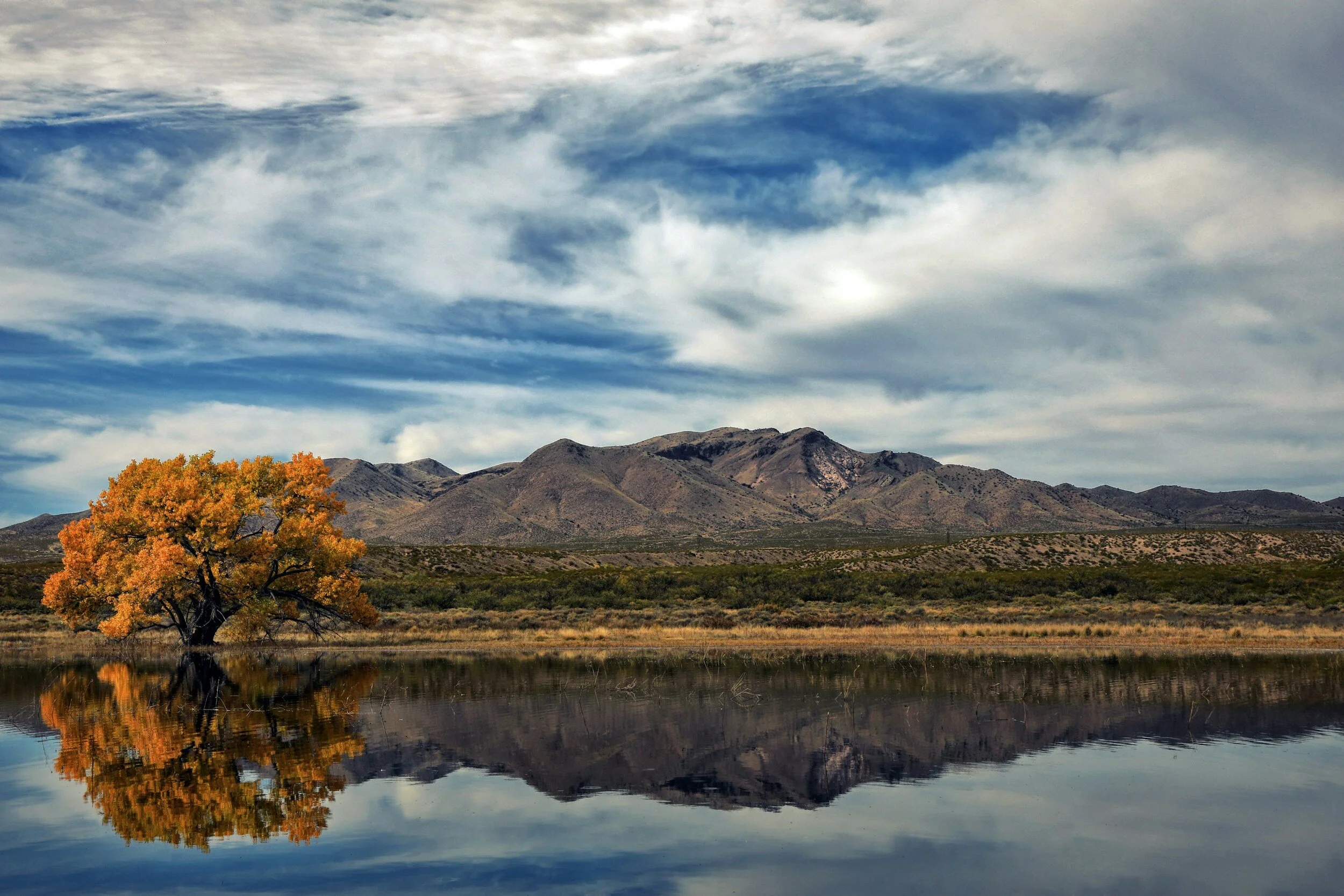 Mountain landscape with autumn tree reflected in lake under cloudy sky.