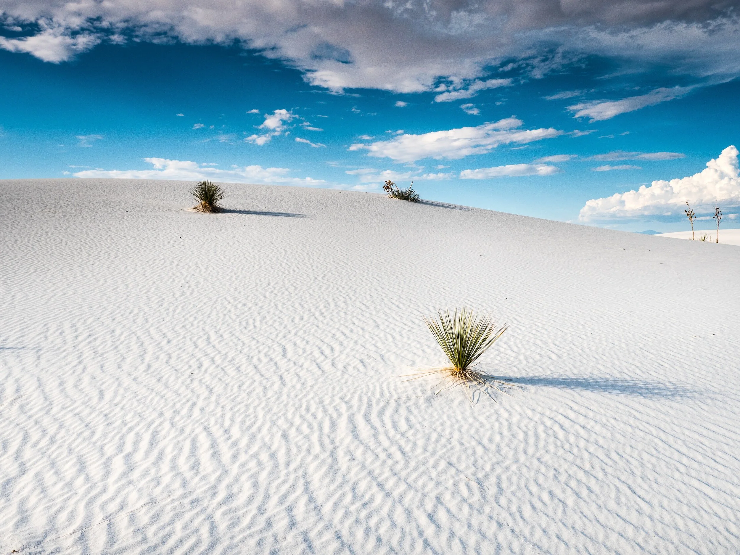 Desert landscape with white sand dunes, sparse vegetation, and a blue sky with clouds.
