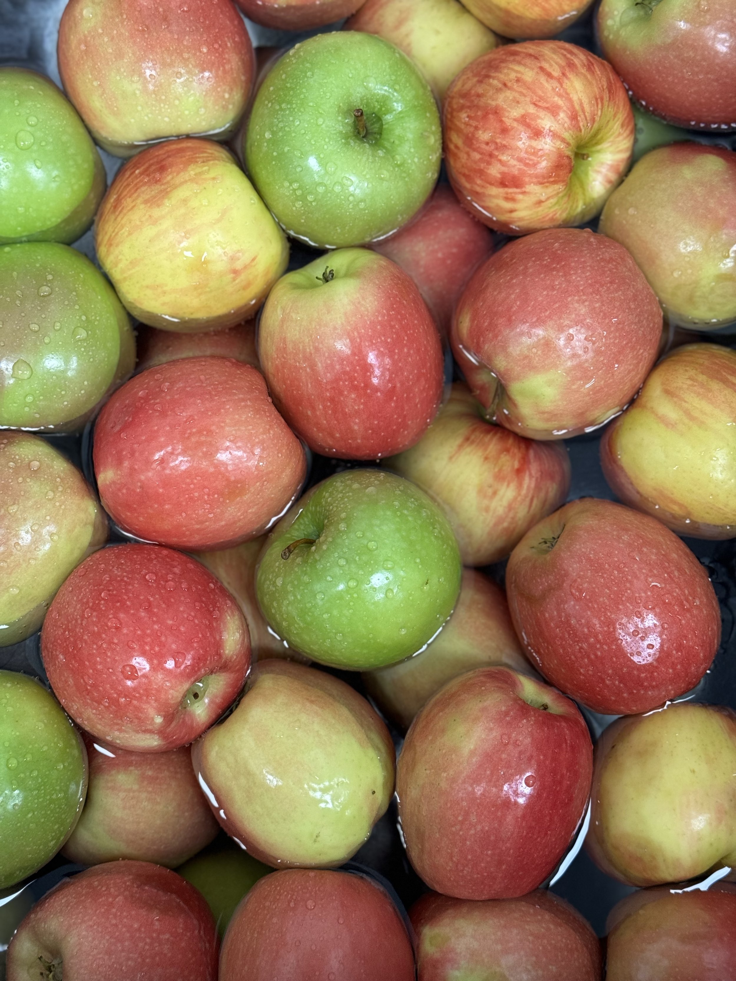 Apple Cider (12 oz)