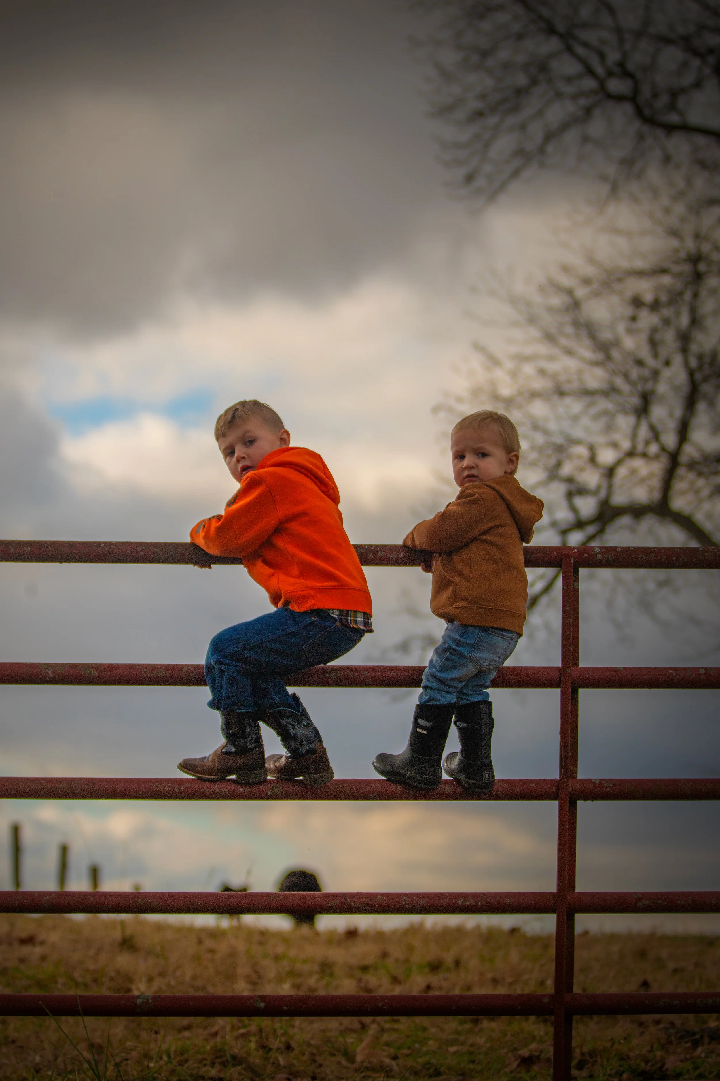 wyatt-and-wes-on-a-fence-adairville,-ky-winter-2023.jpg
