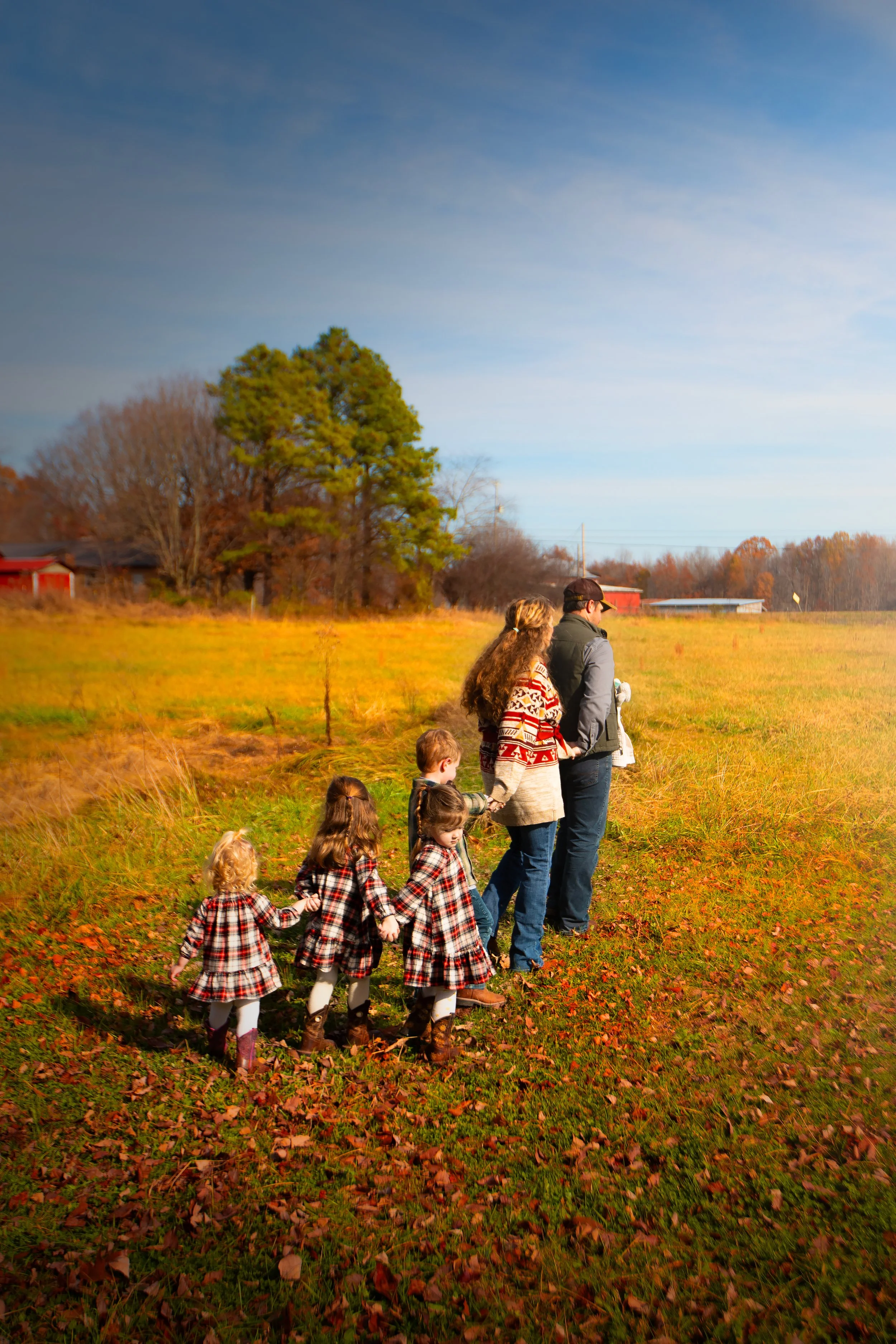 Catagnani-family-in-pasture-holding-hands.jpg