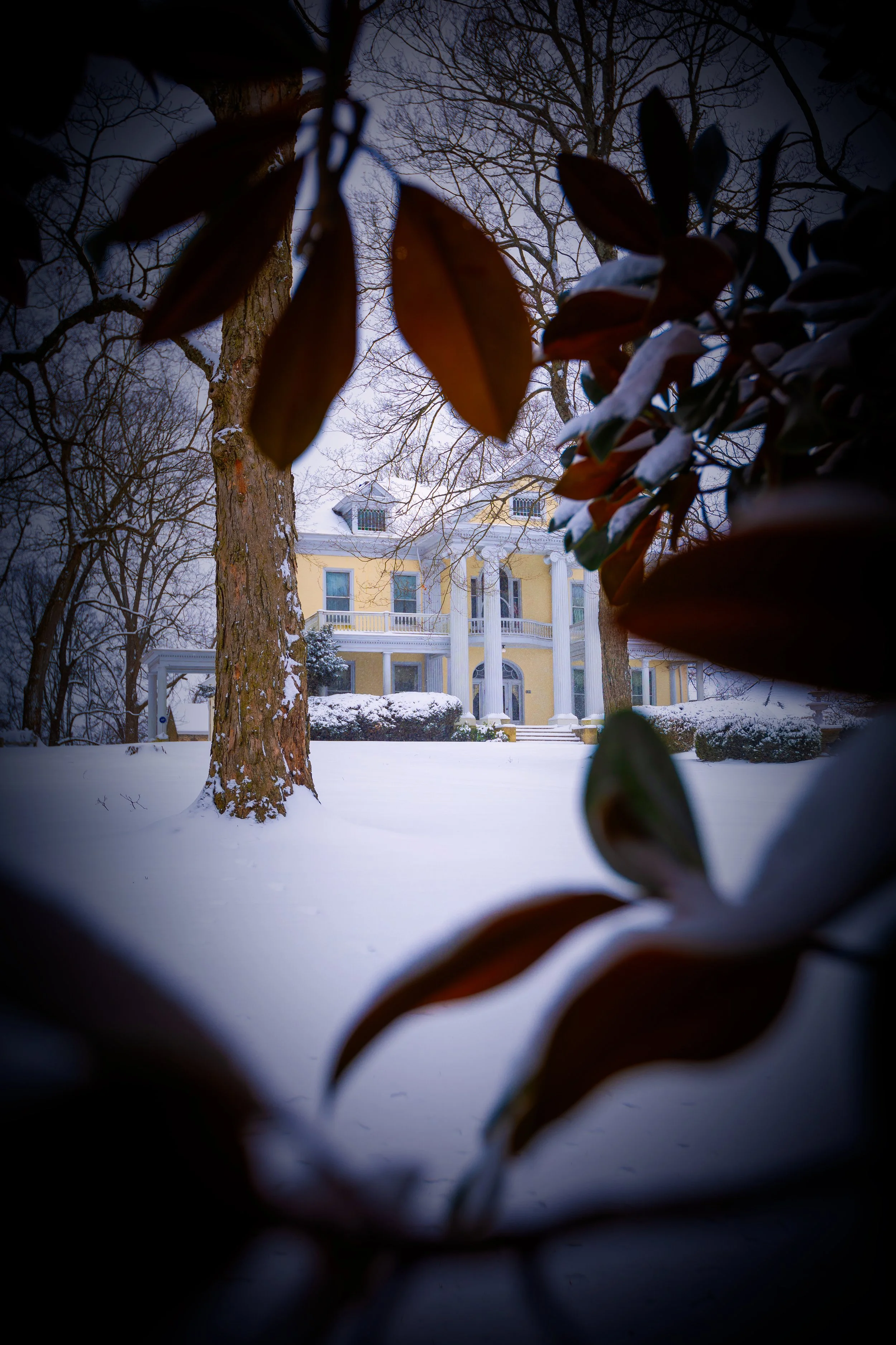 Chetham-house-thru-magnolia-springfield,-tn-jan-2024.jpg