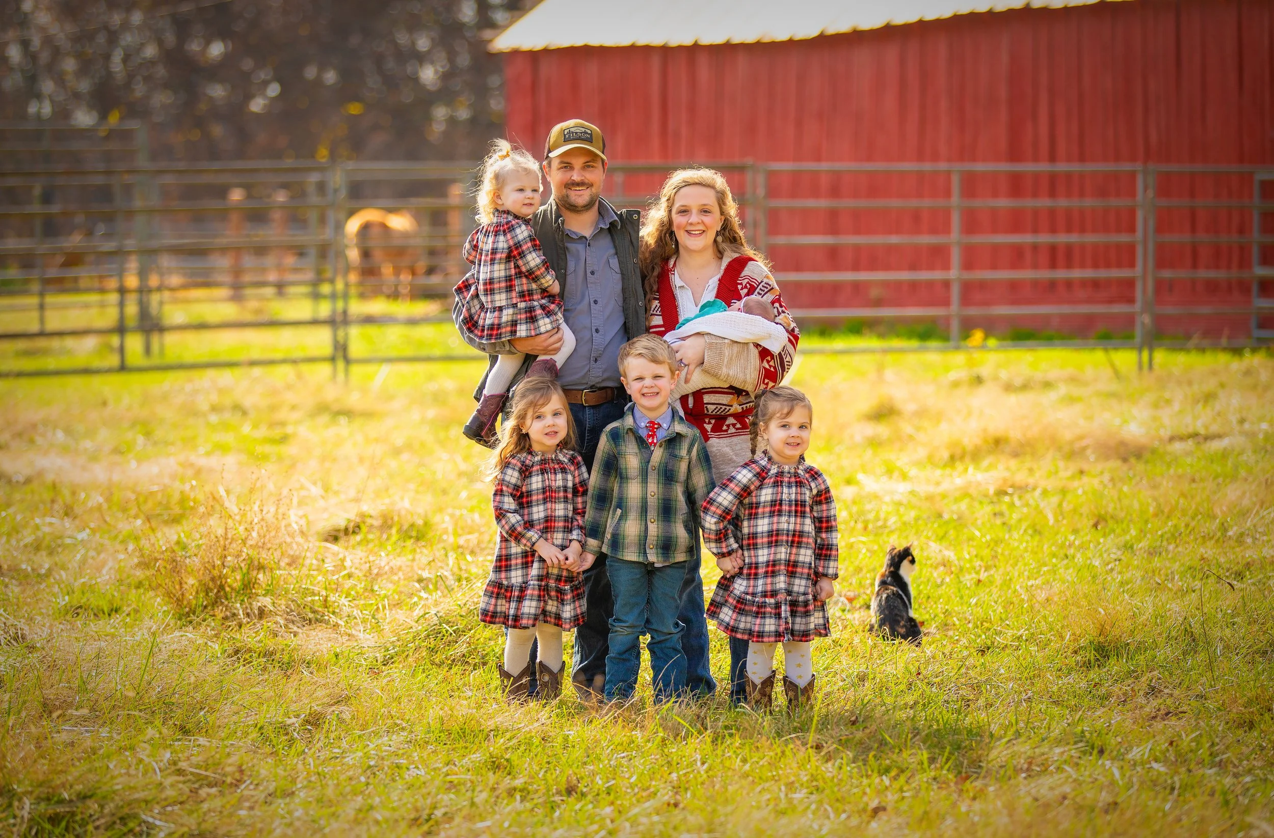 Catagnani-family-in-pasture-2.jpg