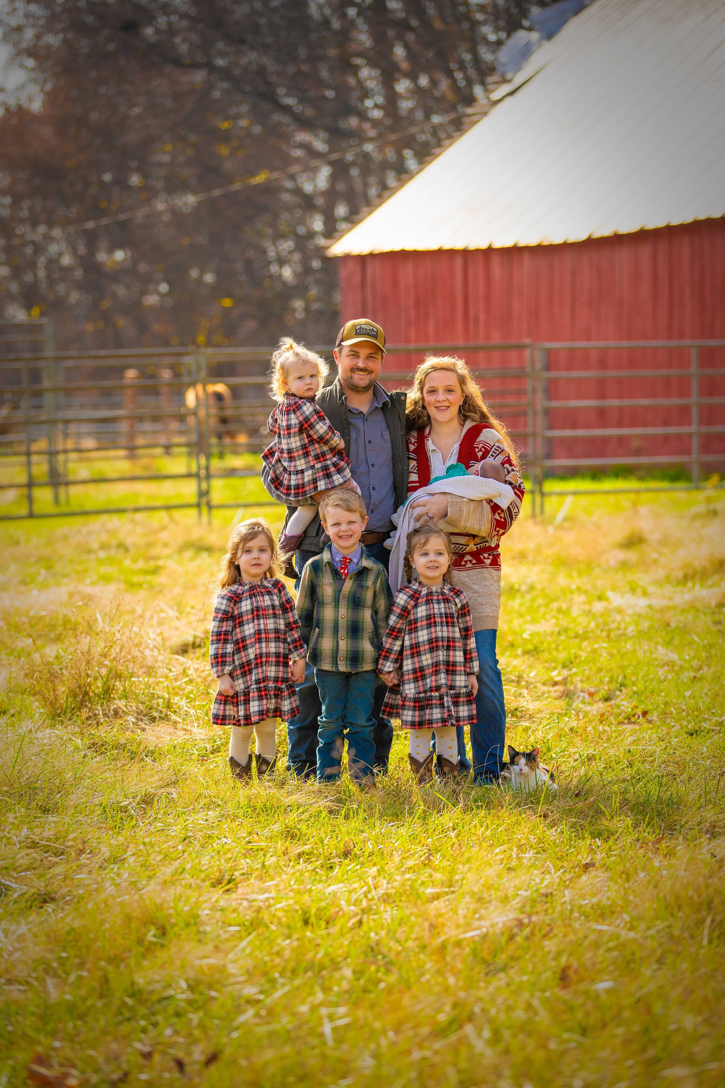 Catagnani-family-in-pasture-.jpg