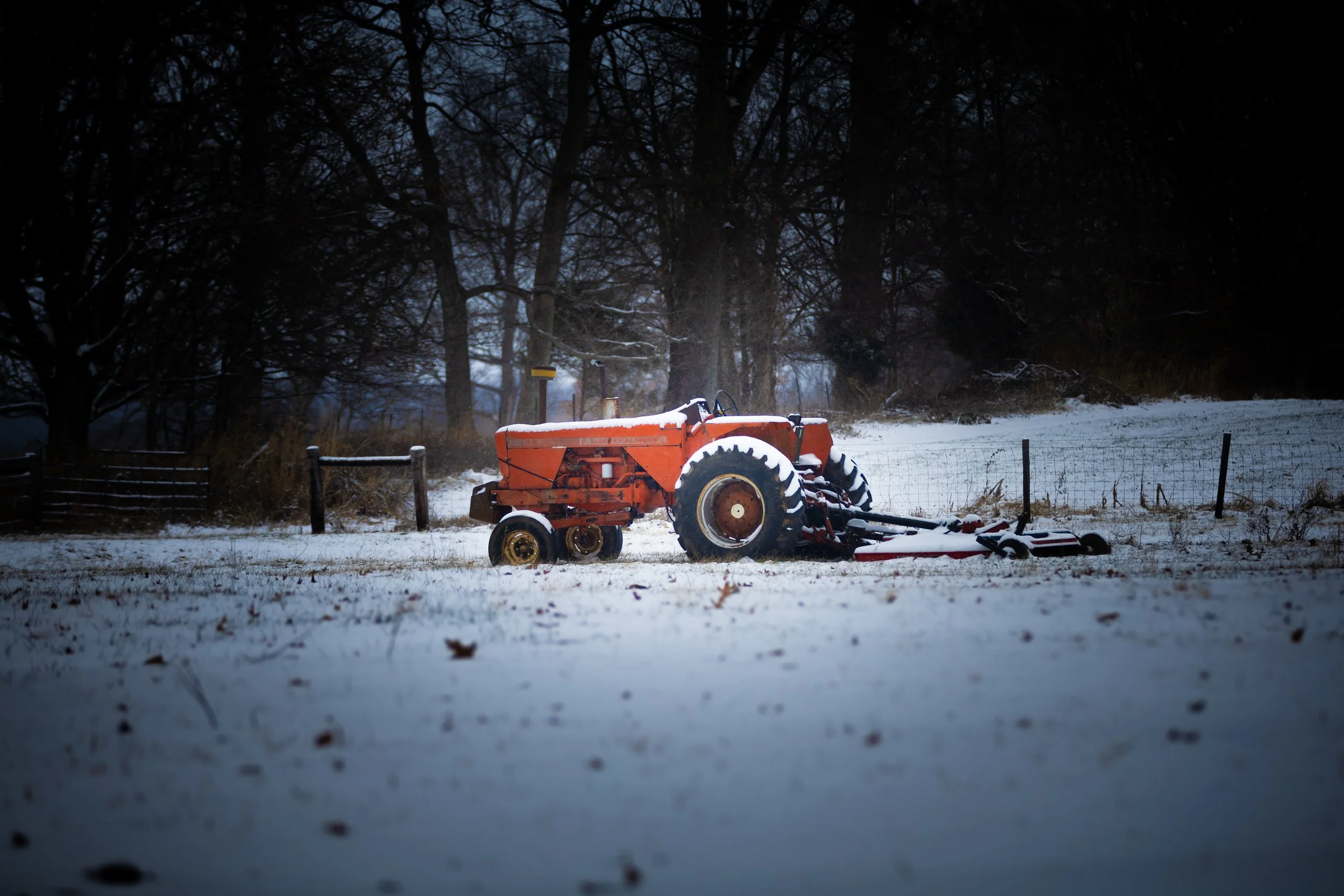_88A9497.jpg