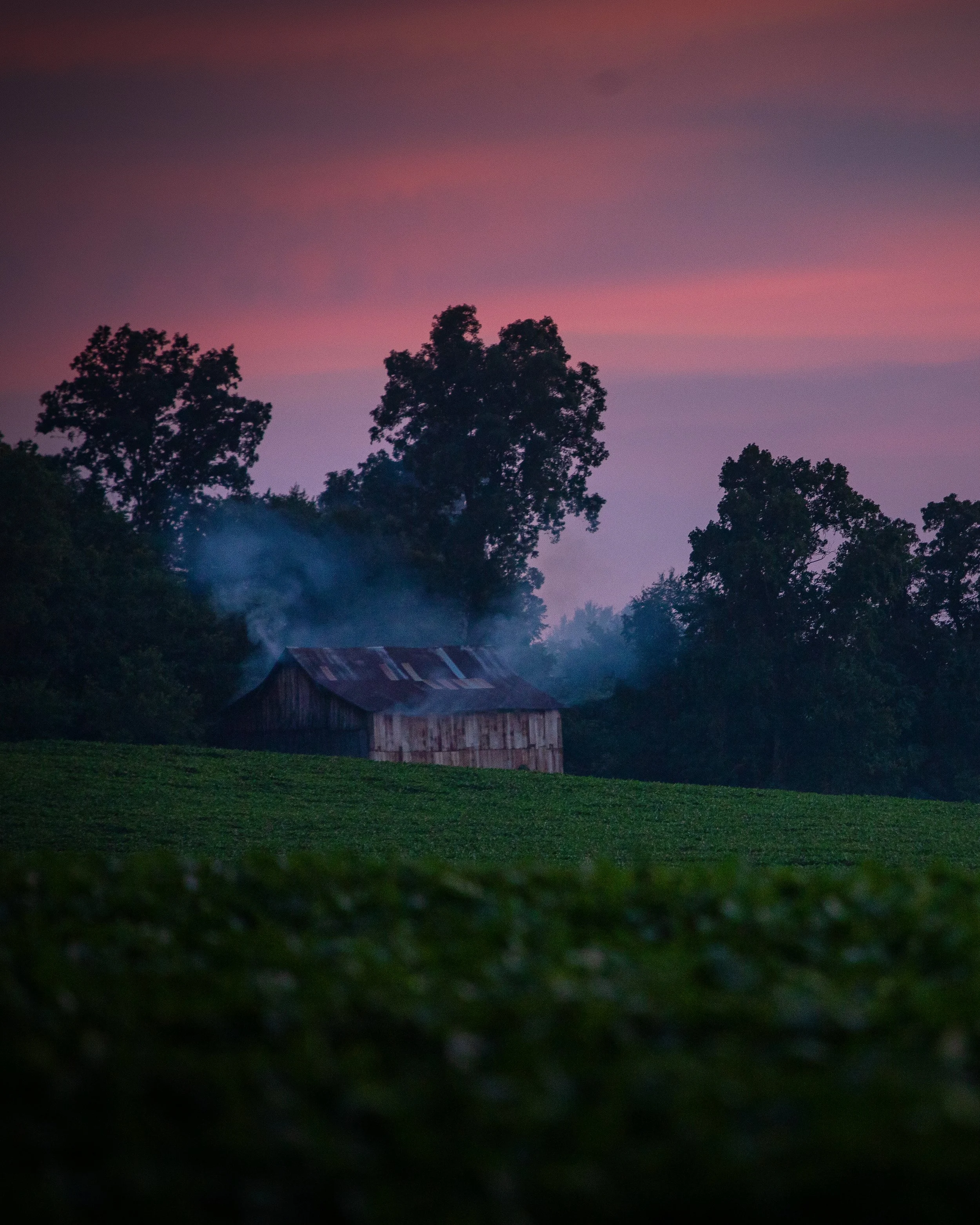 smoking-barn-barren-plains,-tn-fall-2023-5x4.jpg