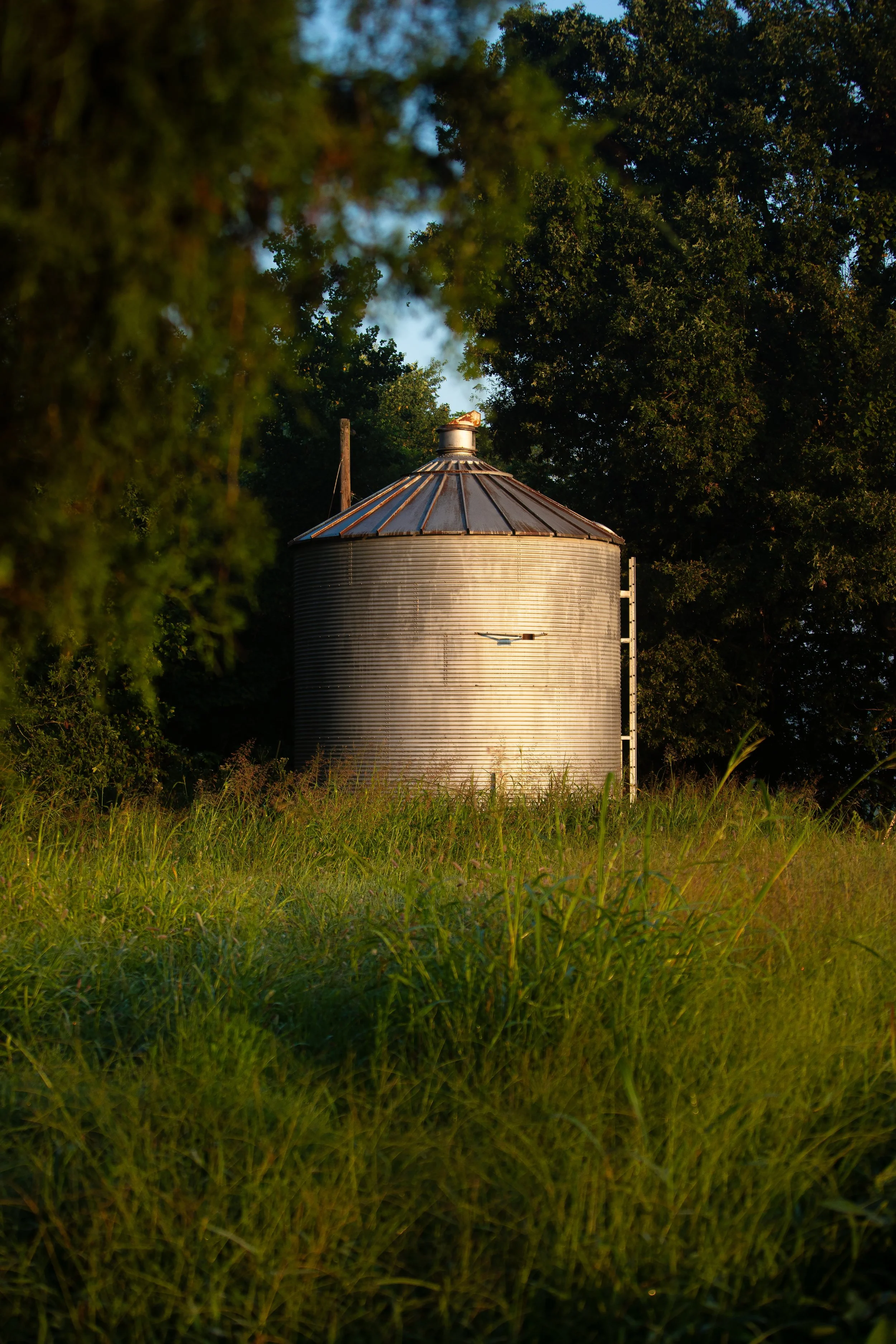 old-silo-barren-plains,-tn-summer-2023psd.jpg