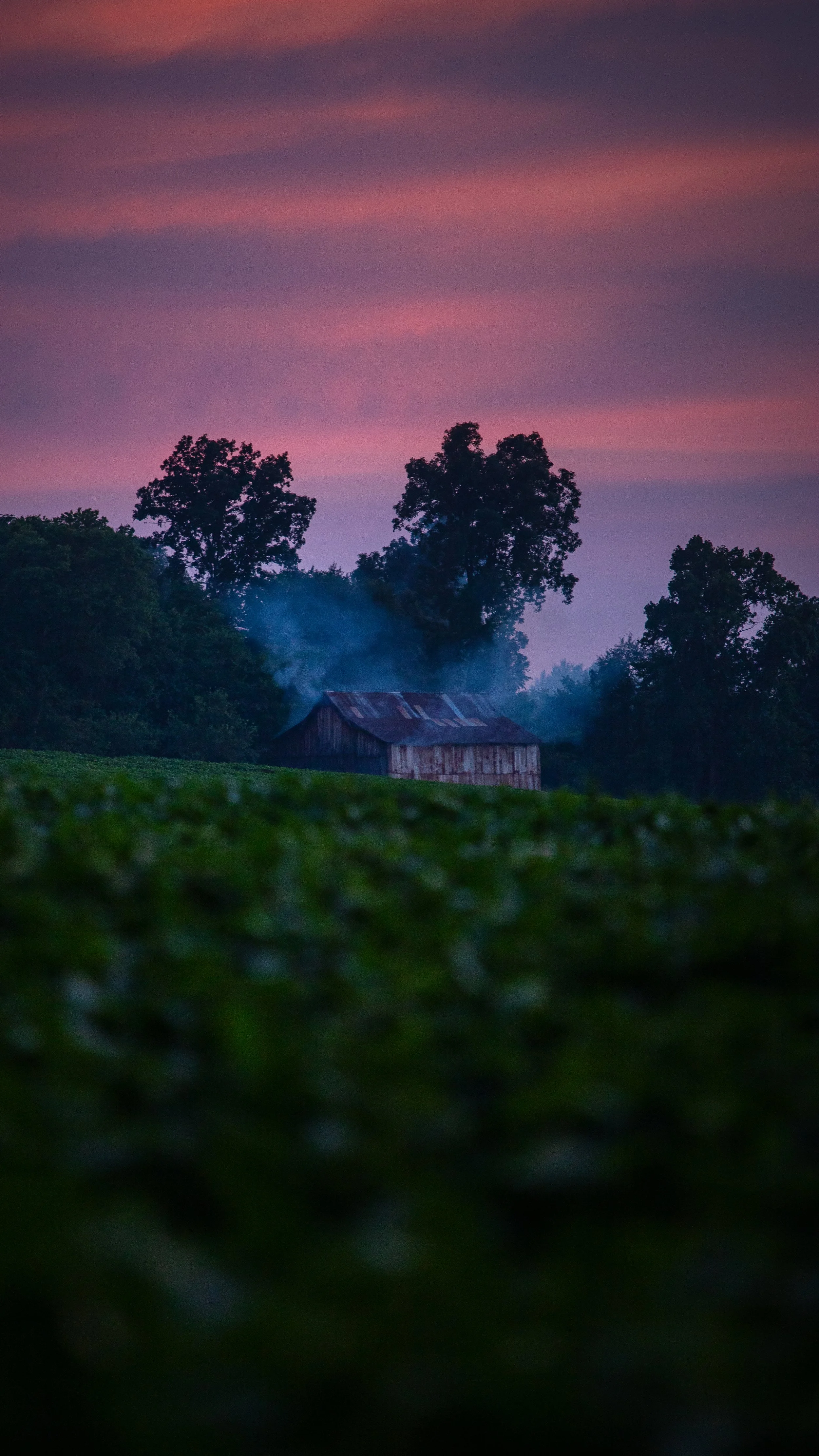 smoking-barn-pink-sky-barren-plains,tn-fall-202316x9.jpg