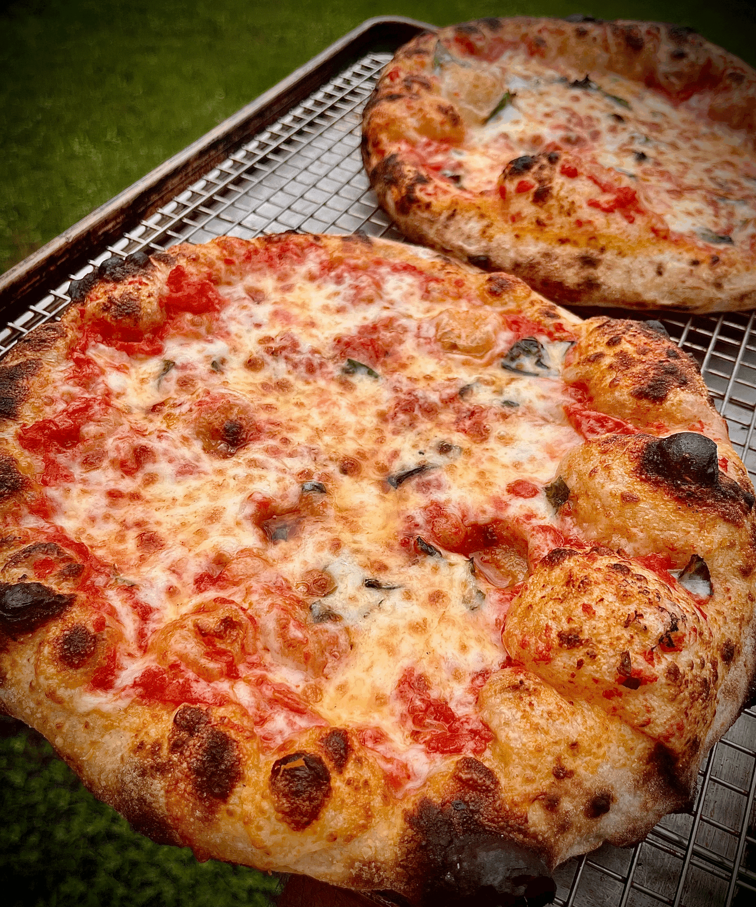 Sourdough Take 'N Bake Pizza Kit