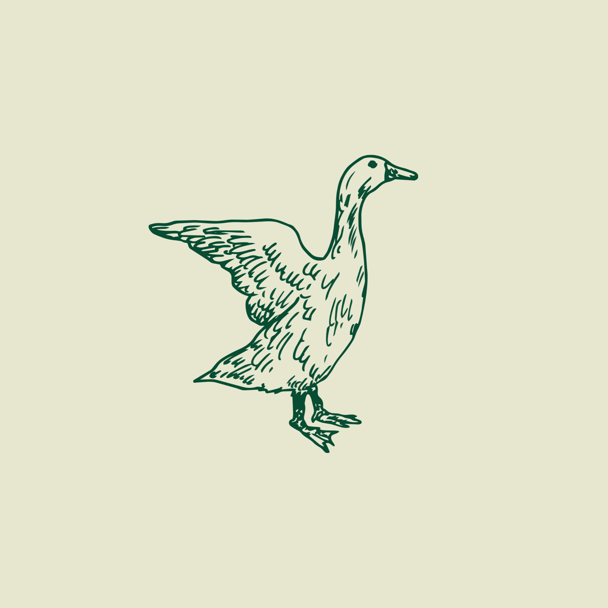 Why We Refined Our Brand: A Shift Towards Strategy, Simplicity, and Intentional Design
