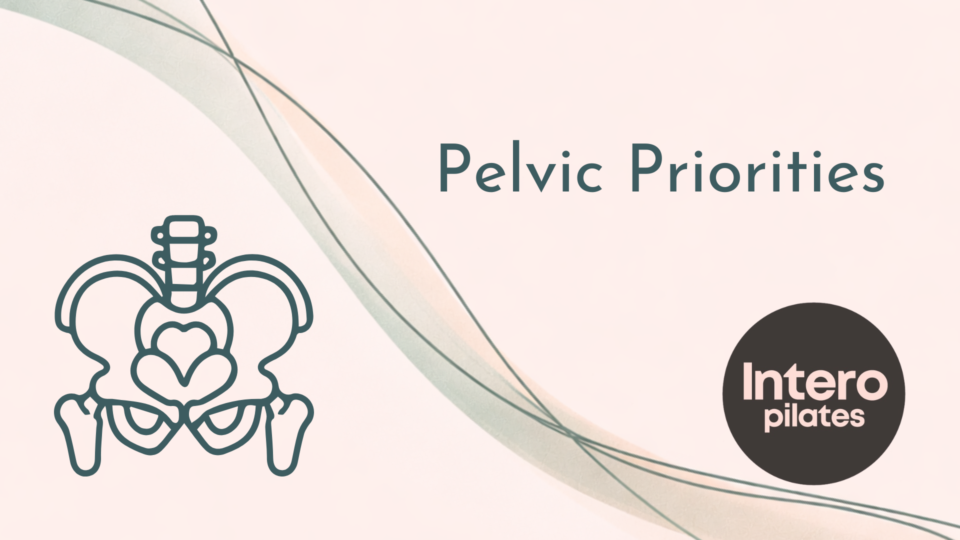       
  
    Hey hey Barrebabes!   pilates and the pelvis  I've been steady studying for my upcoming feat of athleticism known as childbirth, and my mind is continually blown by the intricacy and beauty of our bodies. While I know most of you are no