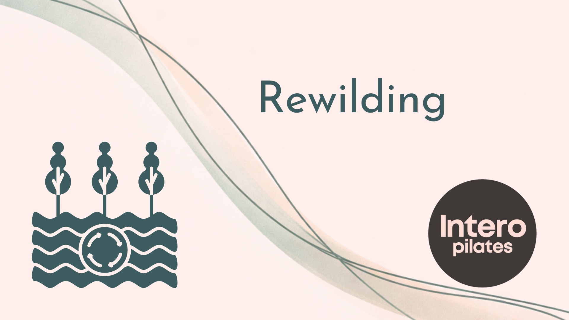       
  
    hello loves,  i hope this finds you safe, healthy, and content after the ritual feasting last week.  rewilding  if you've been reading my newsletters for awhile, you know i care deeply about the health of the earth and environmental jus