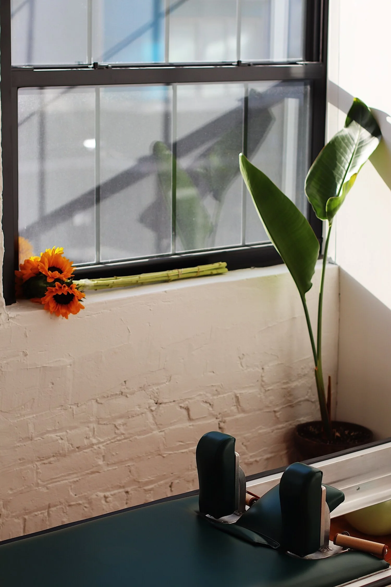 A window with sunlight shining through, plants and flowers on the windowsill, and a massage table with massage tools in the foreground.