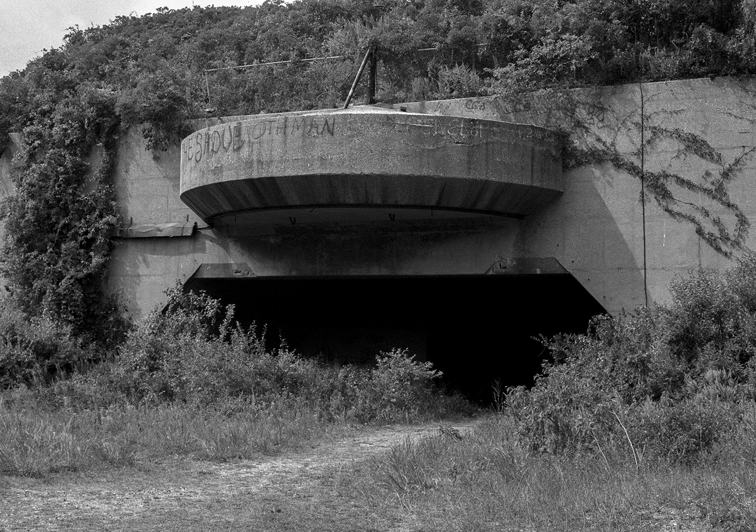 fp_008.jpg