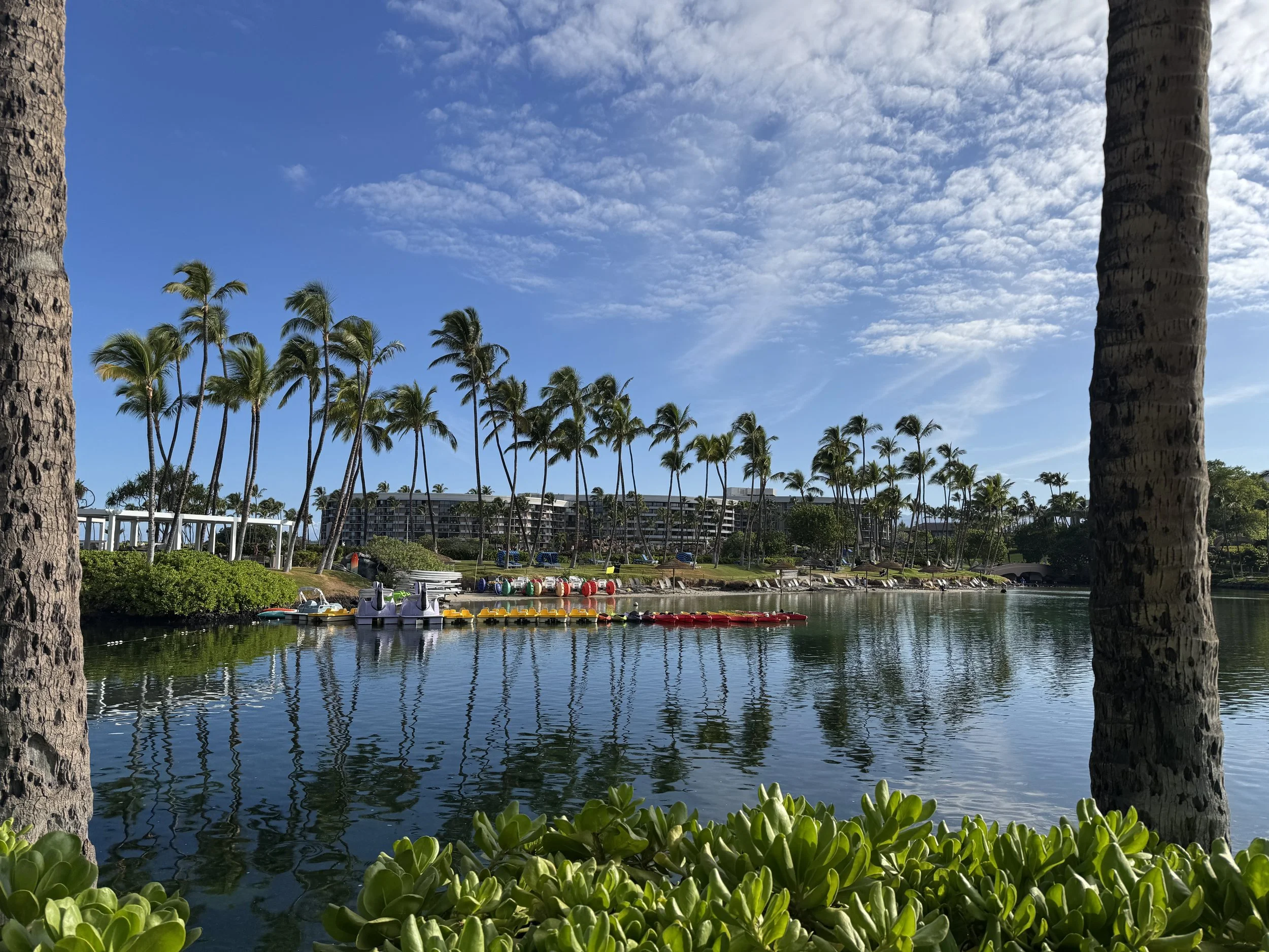 Hilton Waikoloa Village lagoon