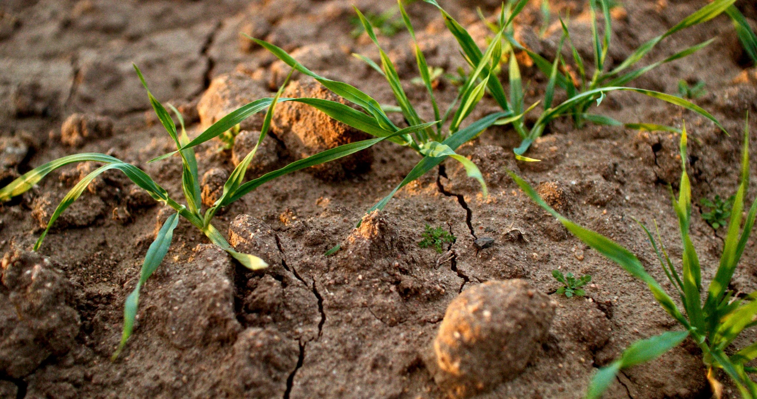 Still 2026-02-05 181016_1.10.1.jpg