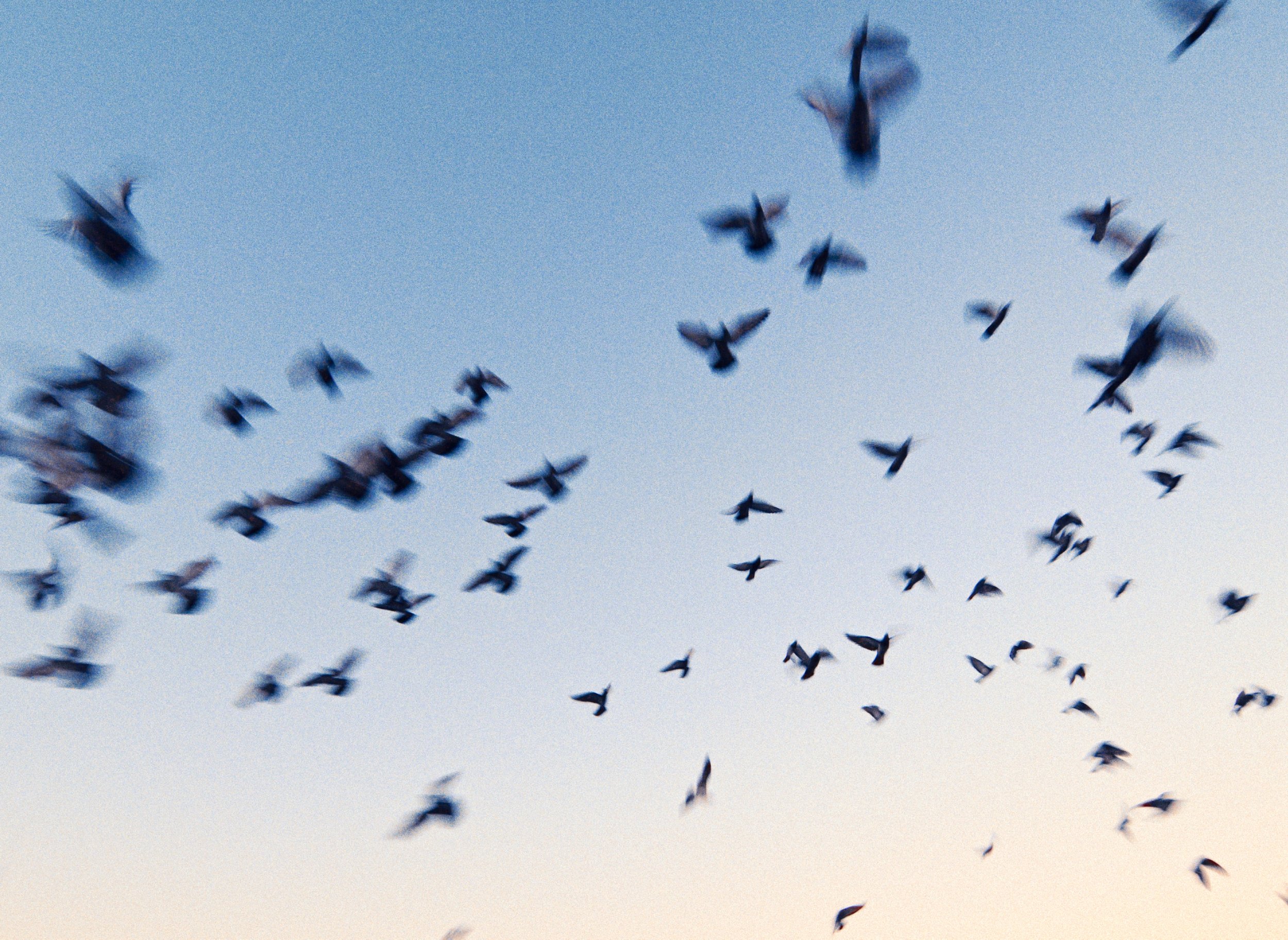 Still 2026-02-03 213525_1.10.1.jpg