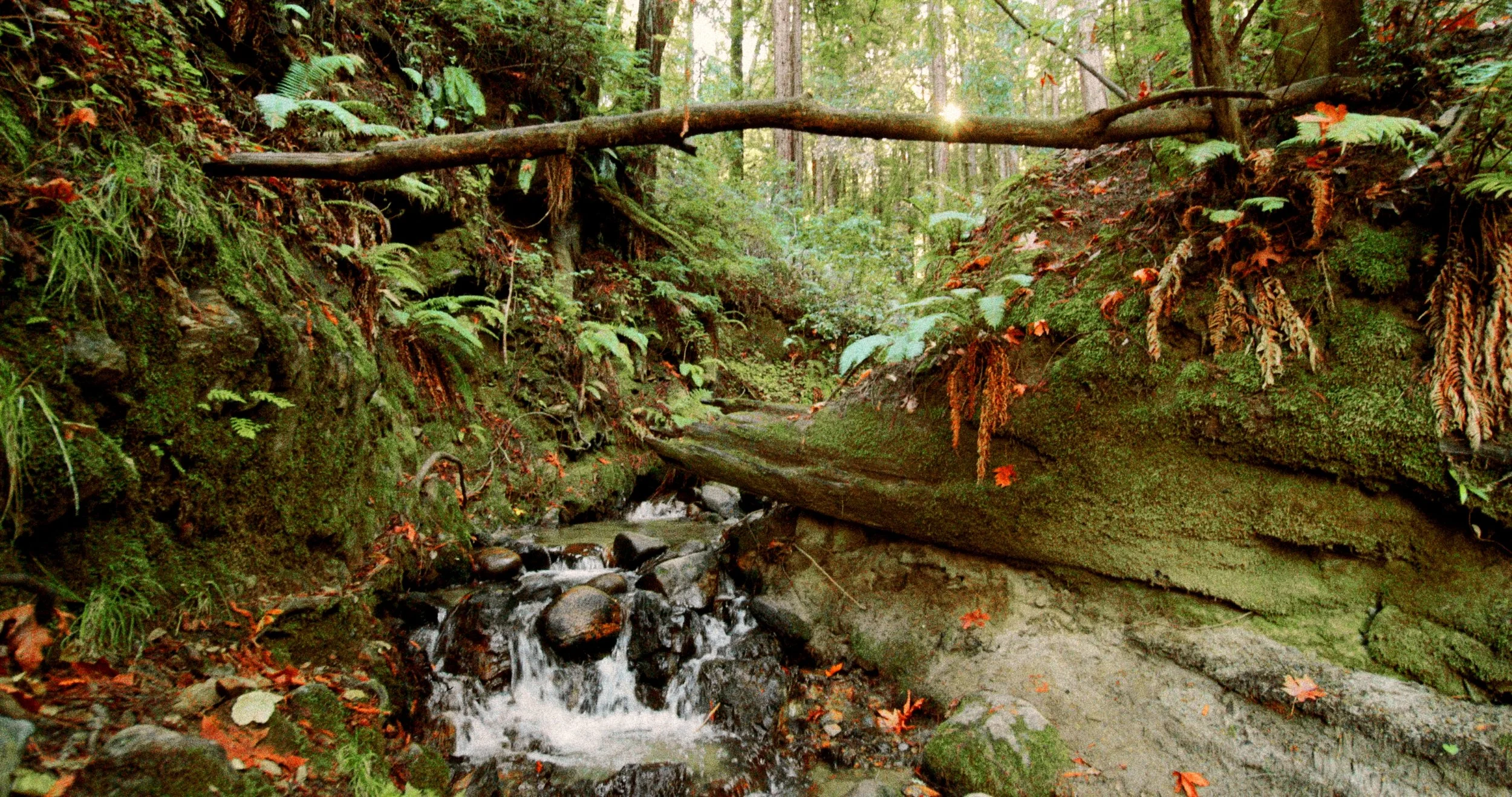 Still 2025-12-22 023024_1.94.1.jpg