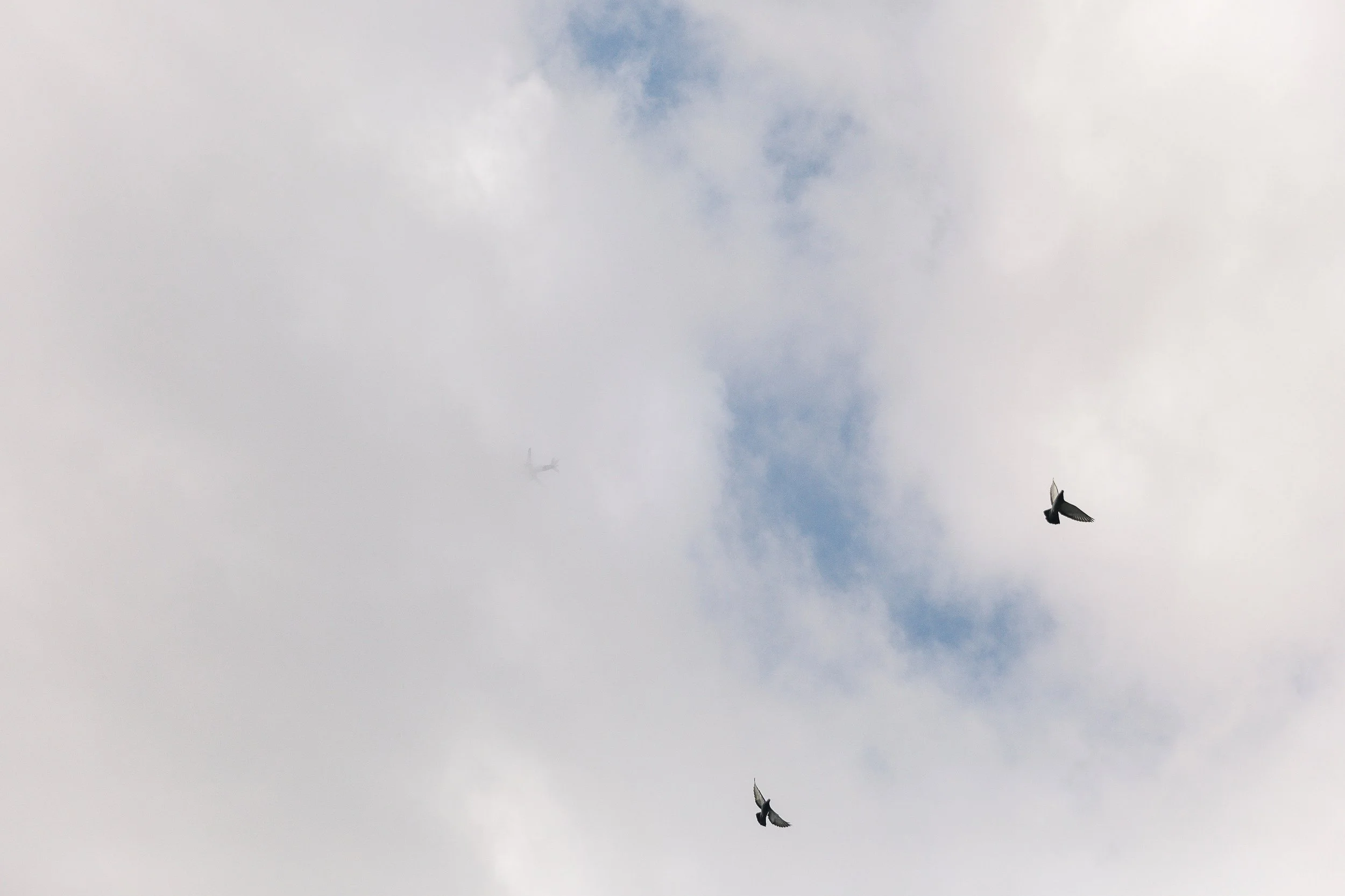 WD SELECTION!_010.jpg